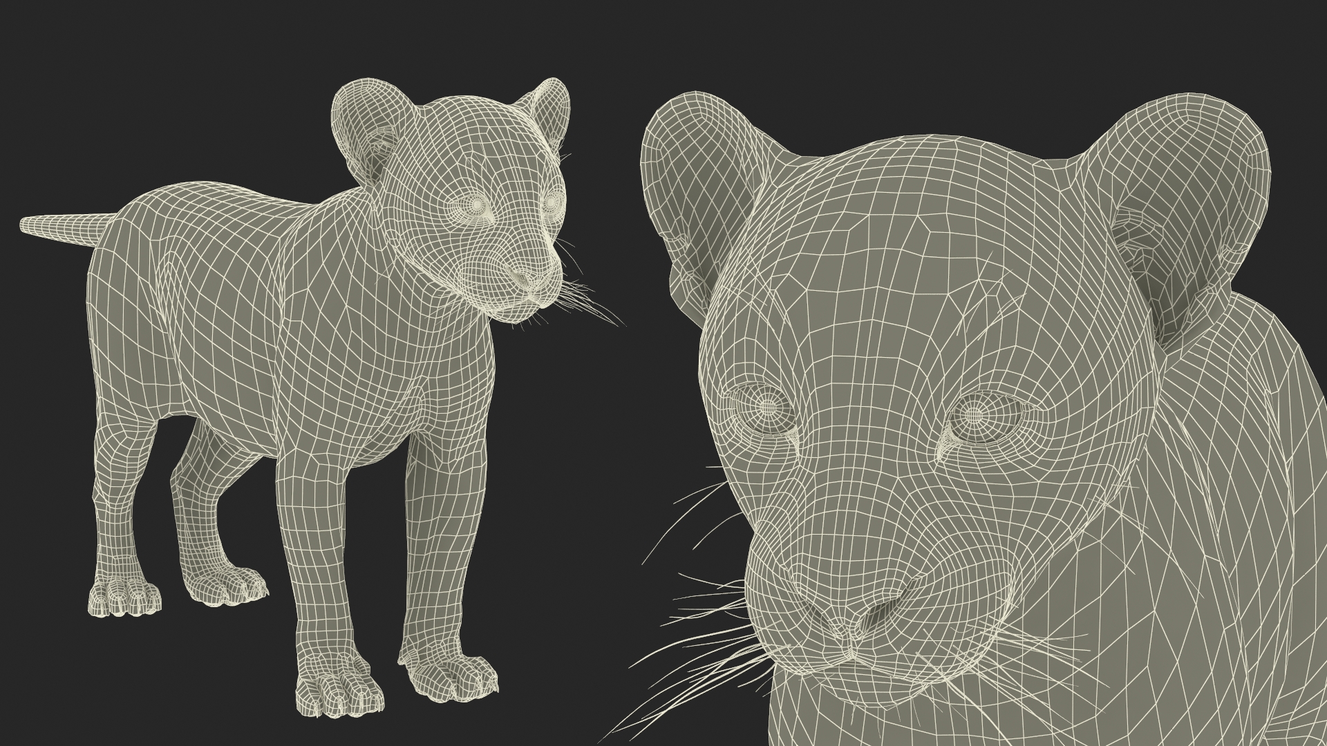 3D Black Panther Cub with Fur Rigged model