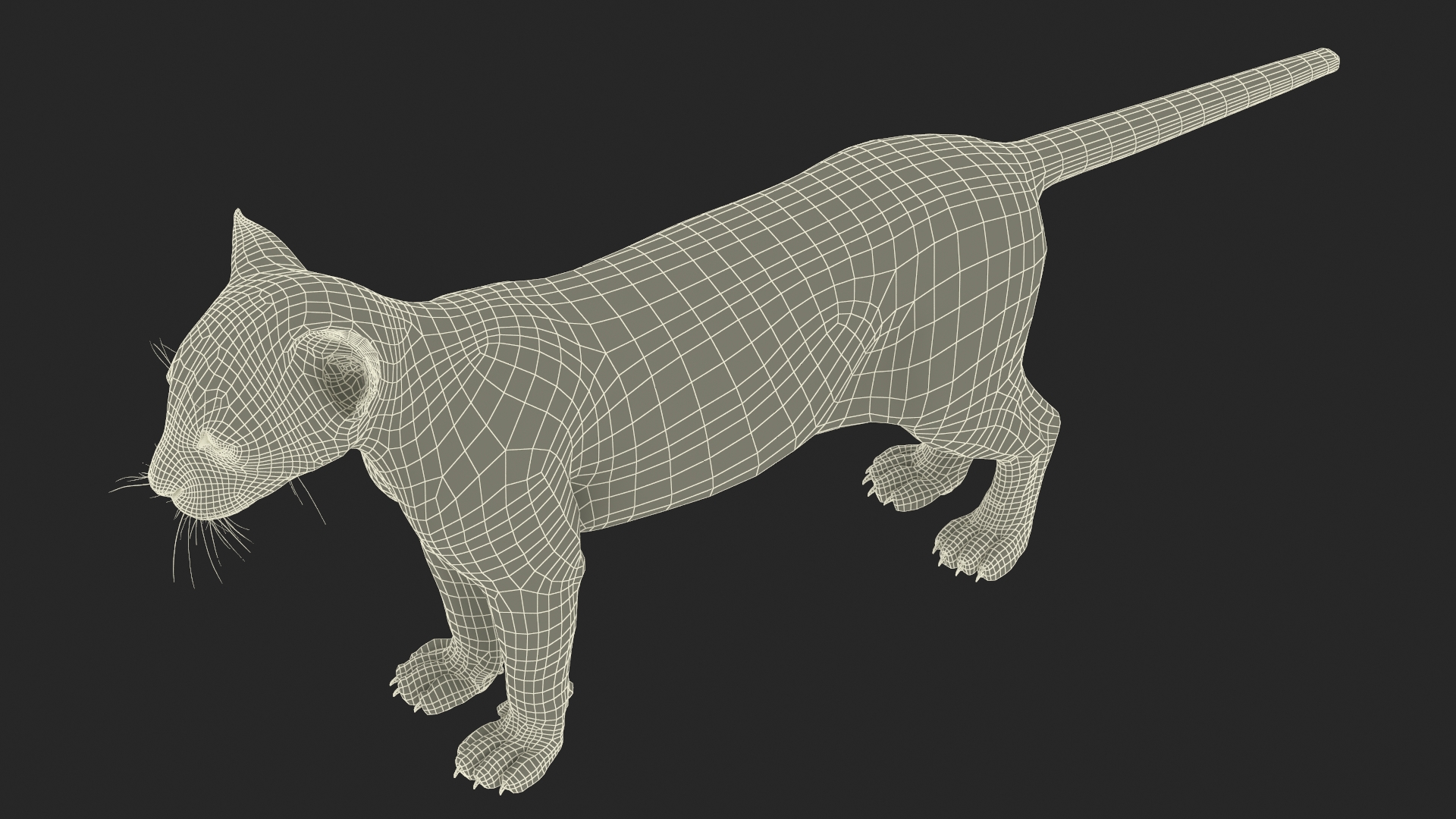 3D Black Panther Cub with Fur Rigged model