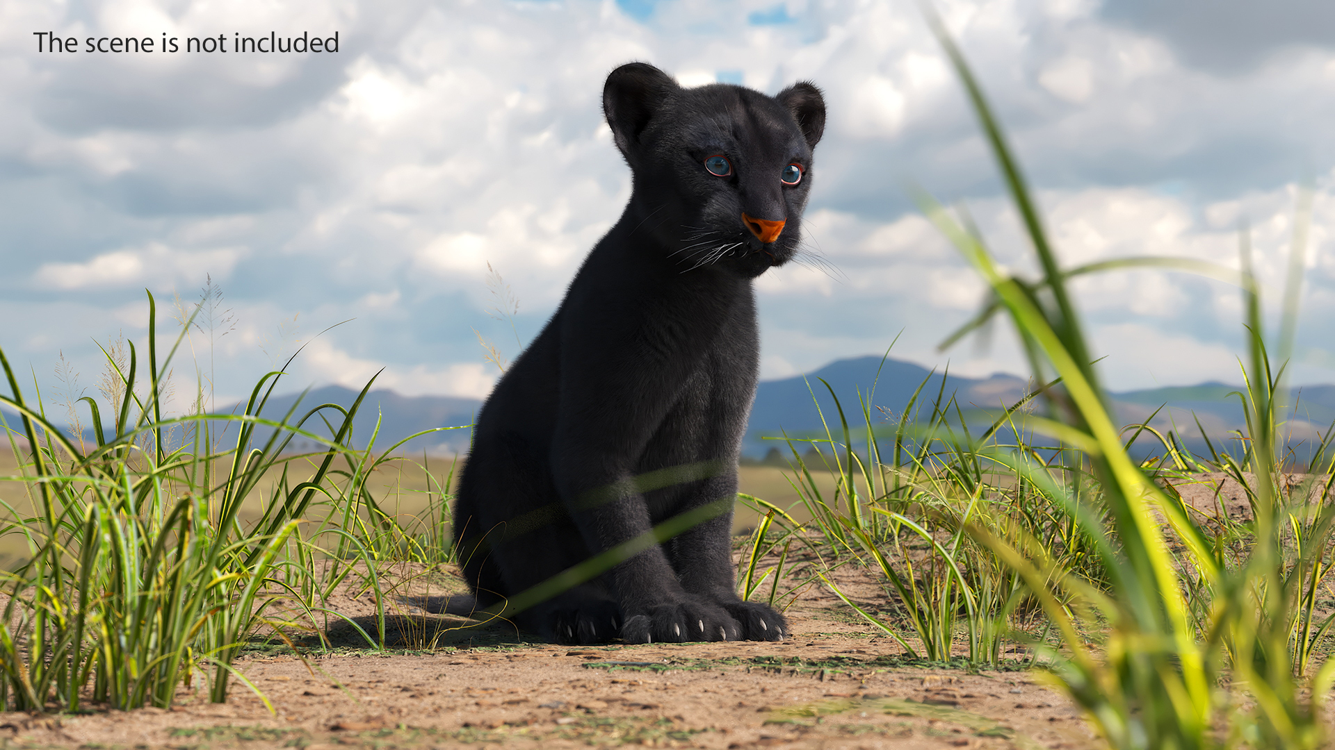 3D Black Panther Cub with Fur Rigged model