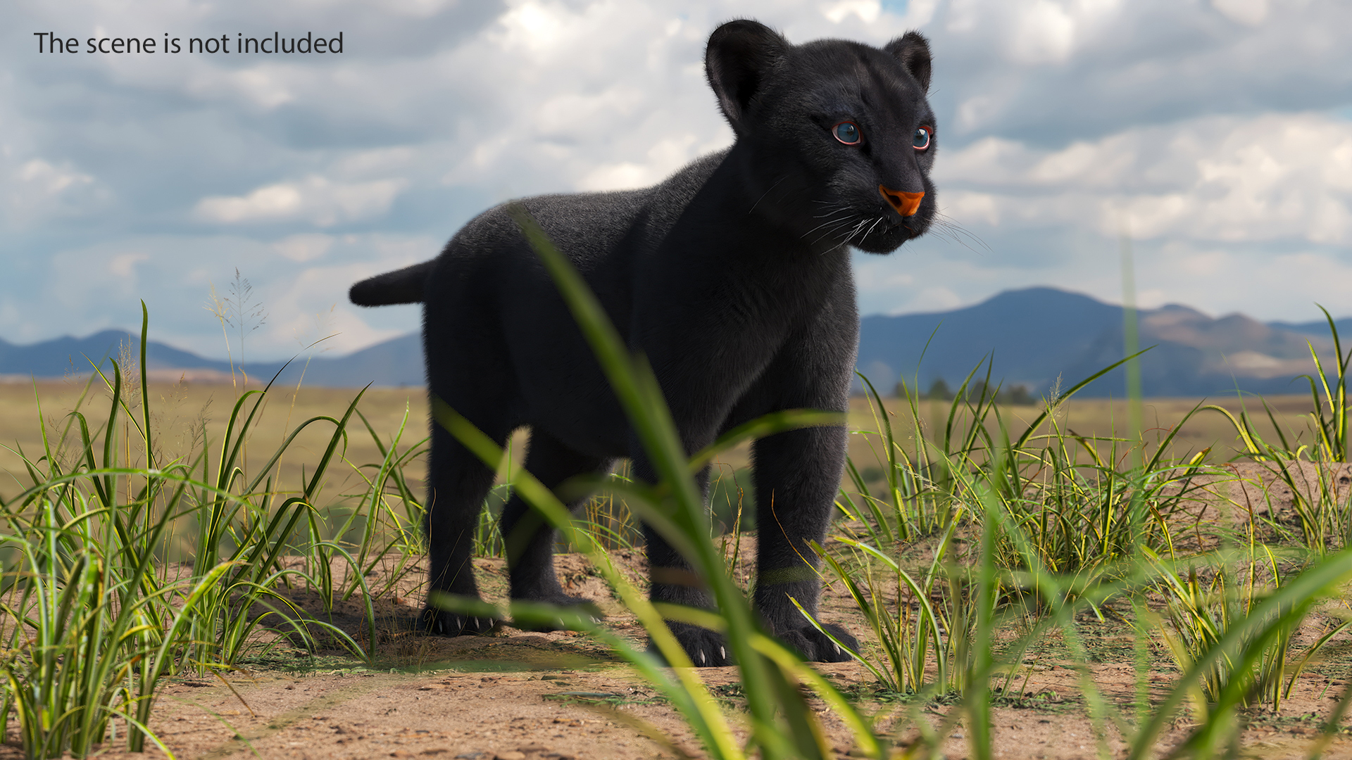 3D Black Panther Cub with Fur Rigged model