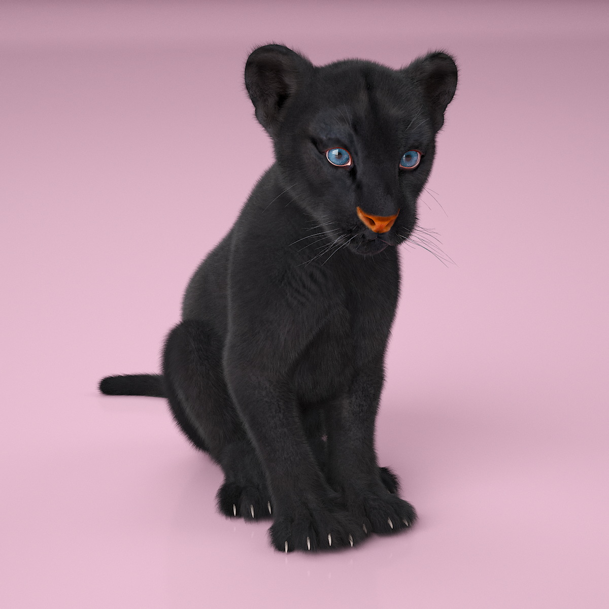 3D Black Panther Cub with Fur Rigged model