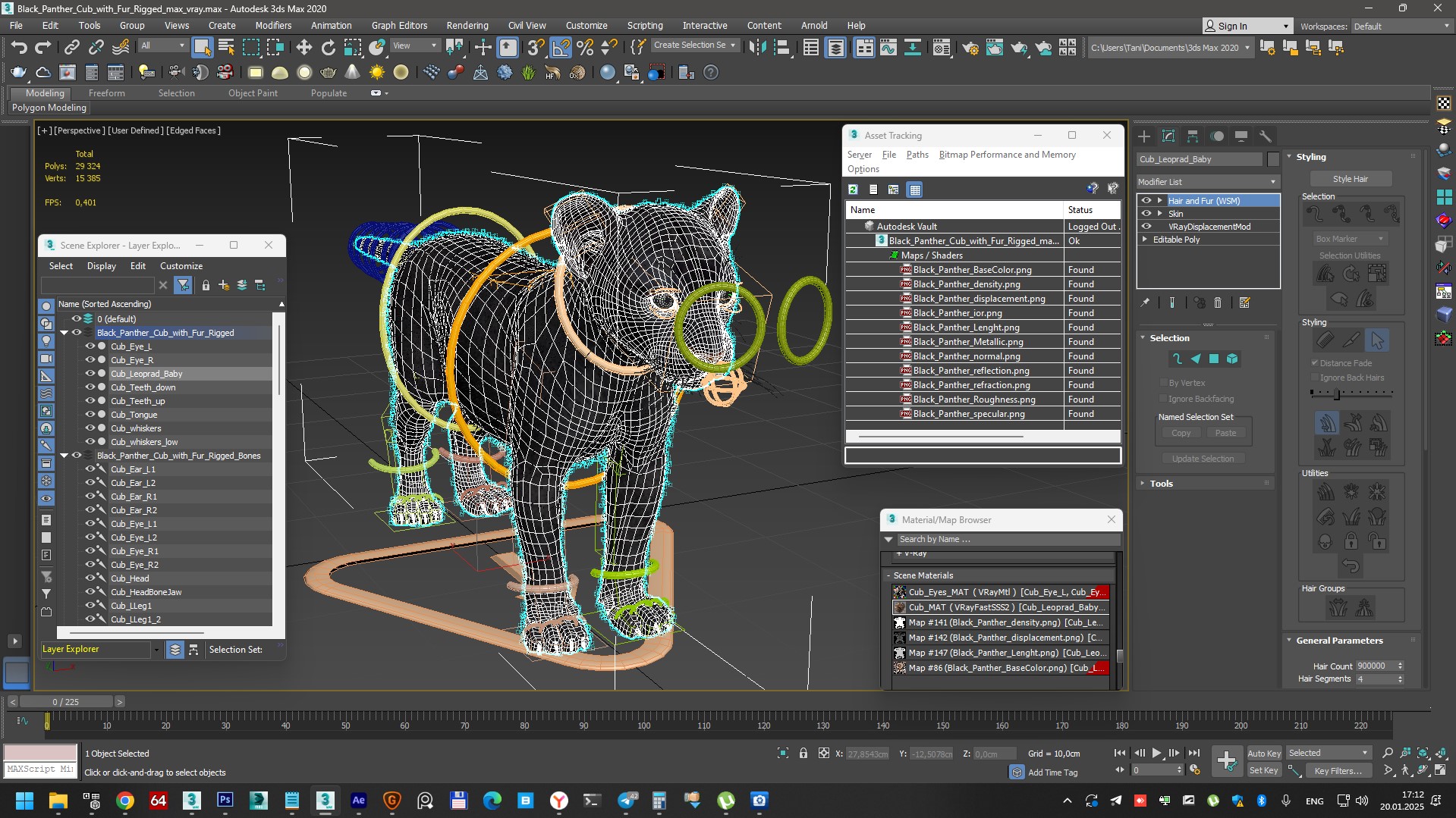 3D Black Panther Cub with Fur Rigged model