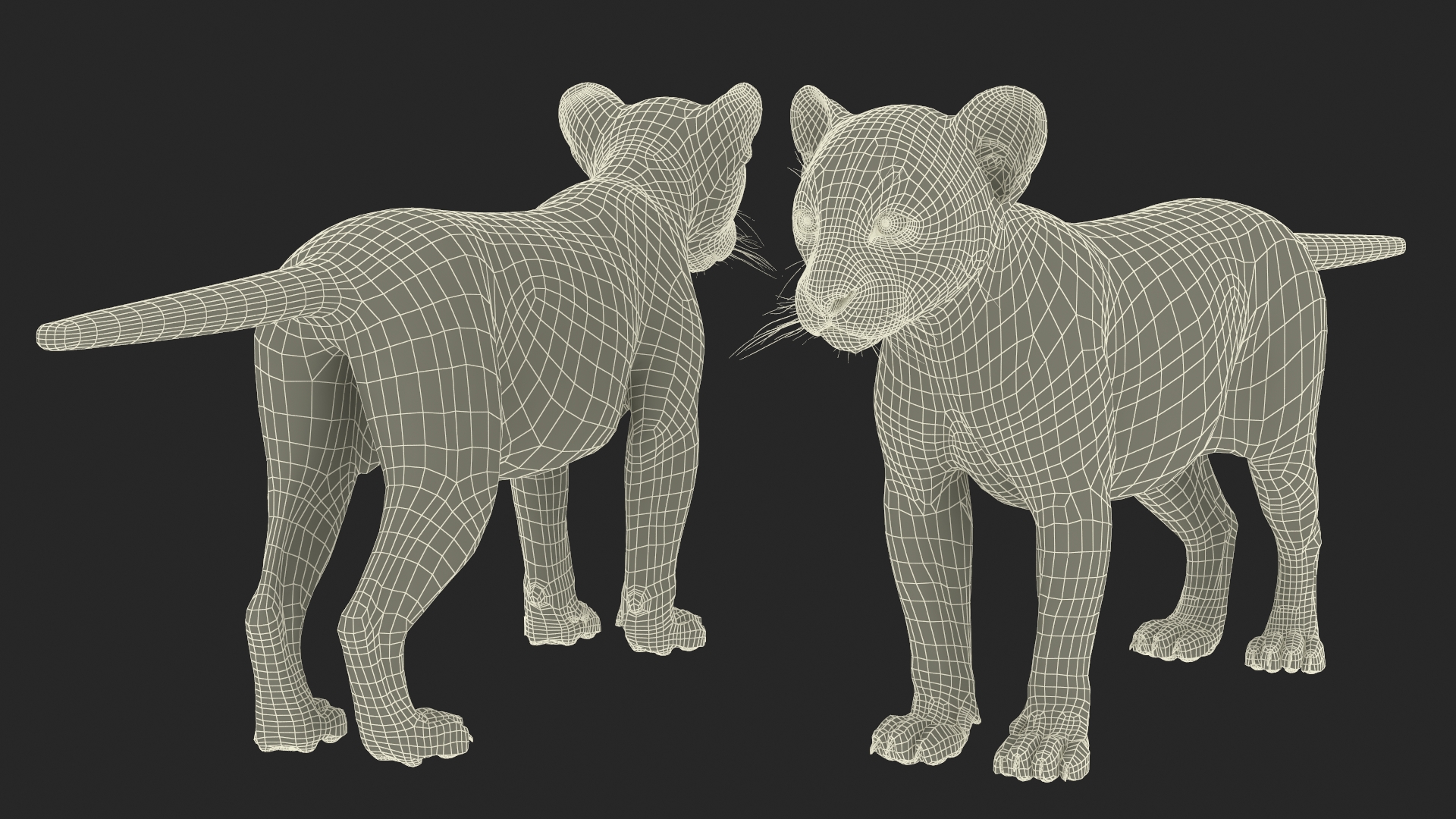 3D Black Panther Cub with Fur Rigged model