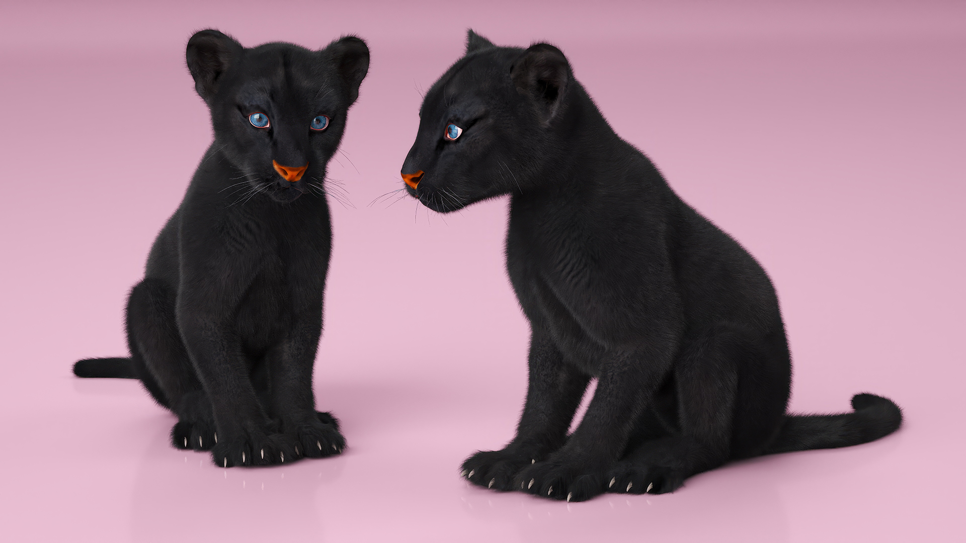 3D Black Panther Cub with Fur Rigged model