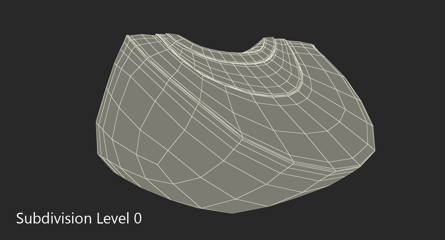 3D Red Onion Cross Section model