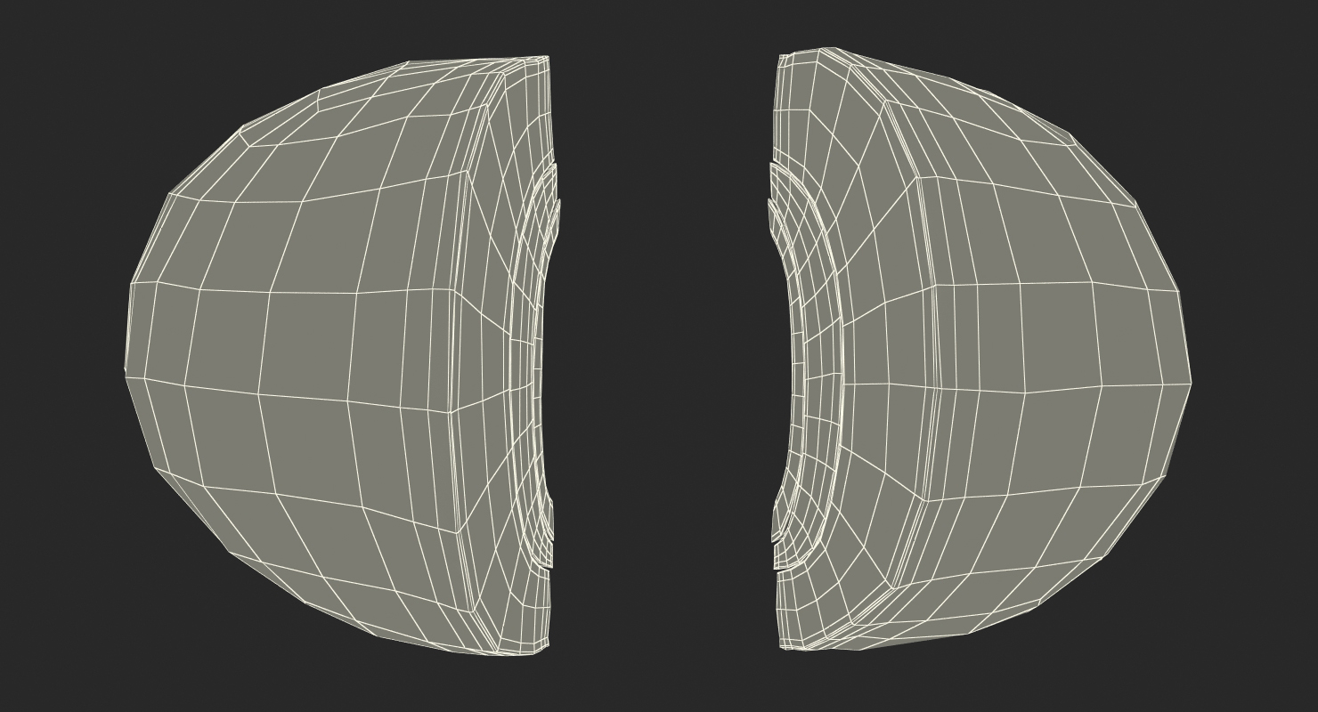 3D Red Onion Cross Section model