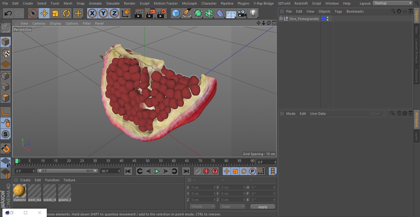 Slice Pomegranate 3D