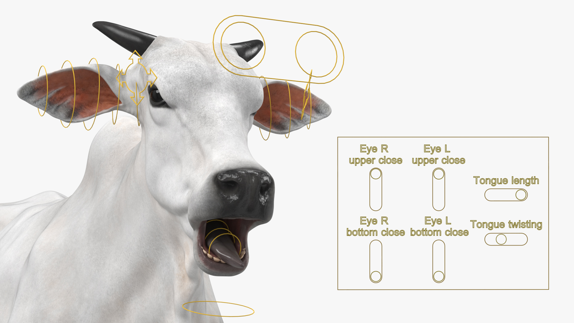 3D model Ongole Cattle Male Rigged