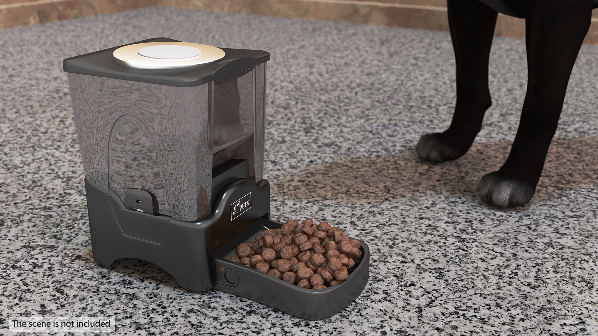 Automatic Pet Feeder Dry Food Dispenser 3D model