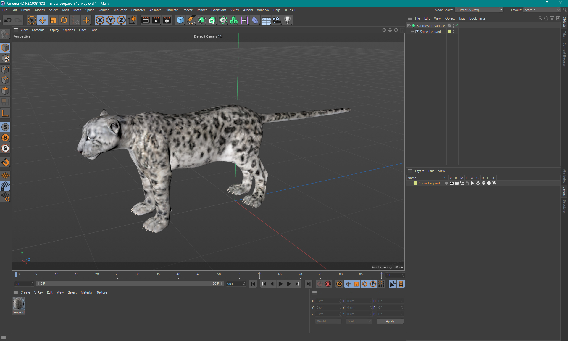 Snow Leopard 3D