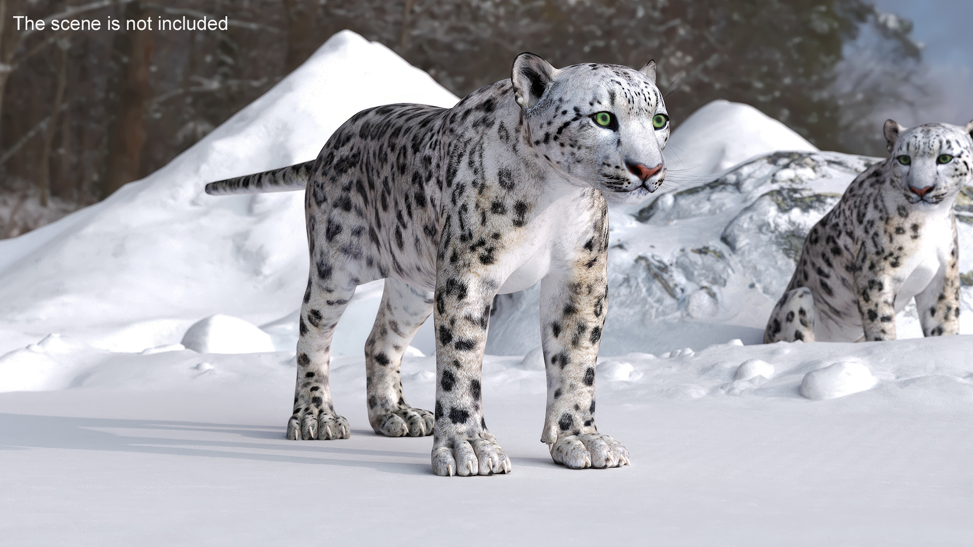 Snow Leopard 3D