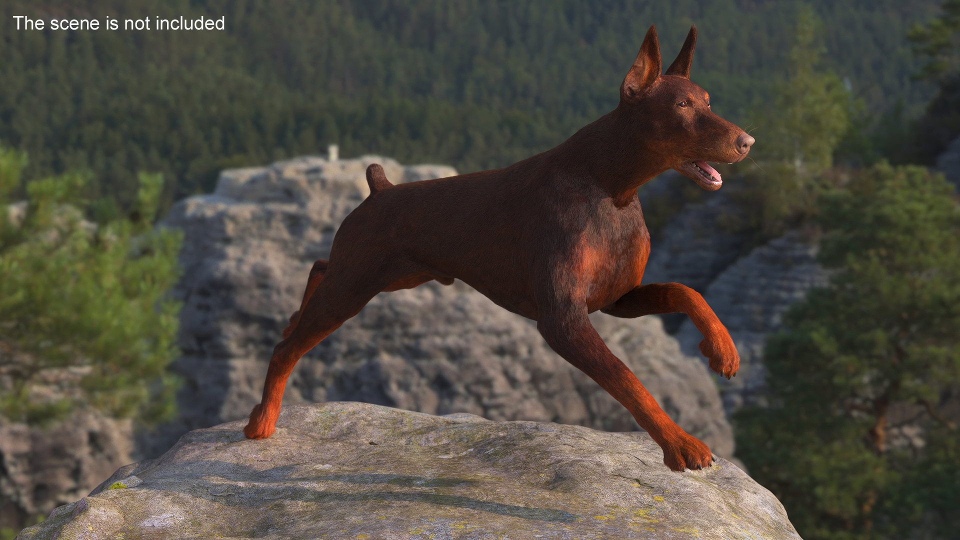 3D model Brown Doberman Pinscher Running Fur