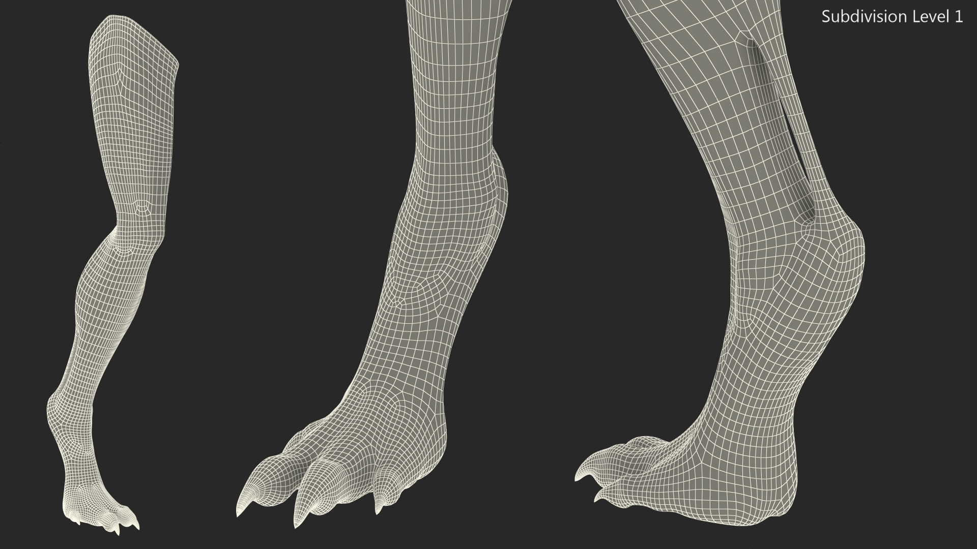 3D Scary Creature Leg model