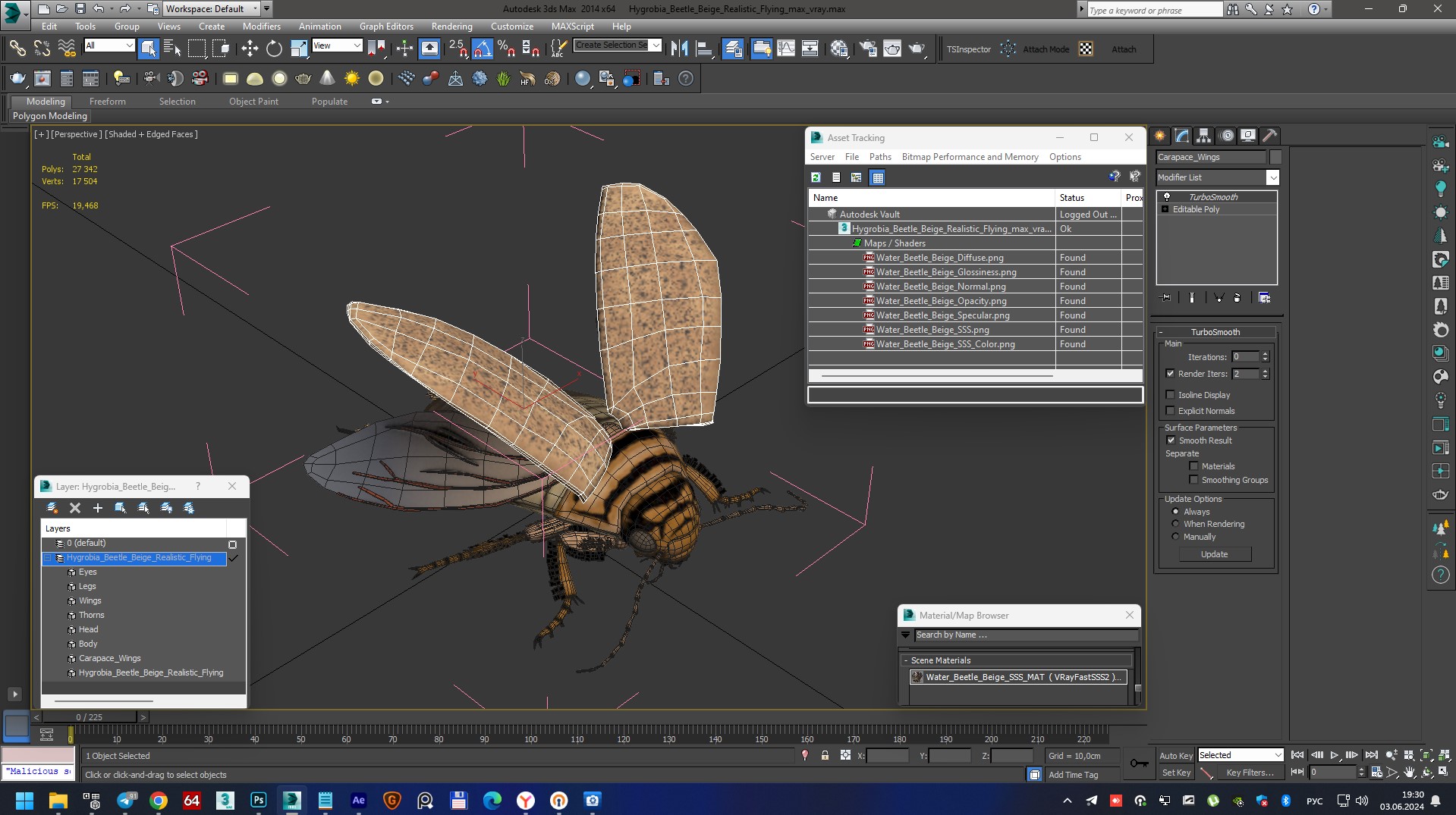 3D Hygrobia Beetle Beige Realistic Flying model