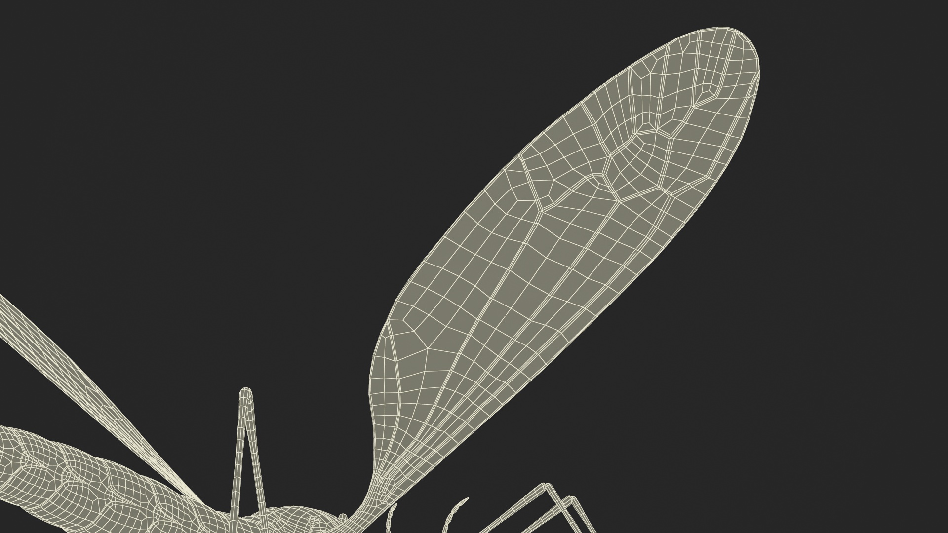 3D model Crane Fly Fur Rigged