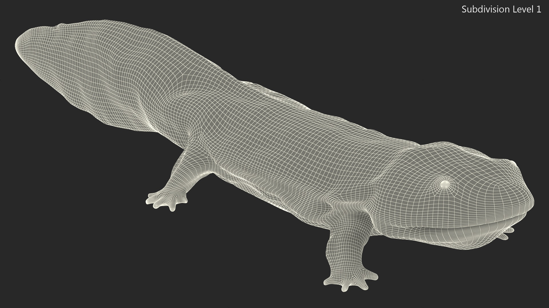 3D model Salamander Dark