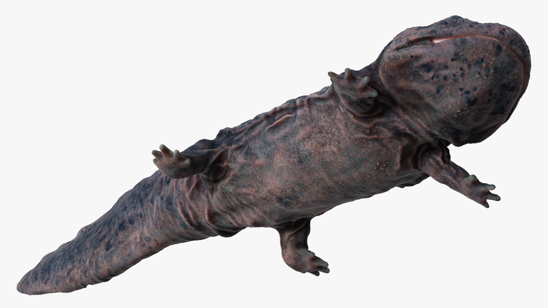 3D model Salamander Dark