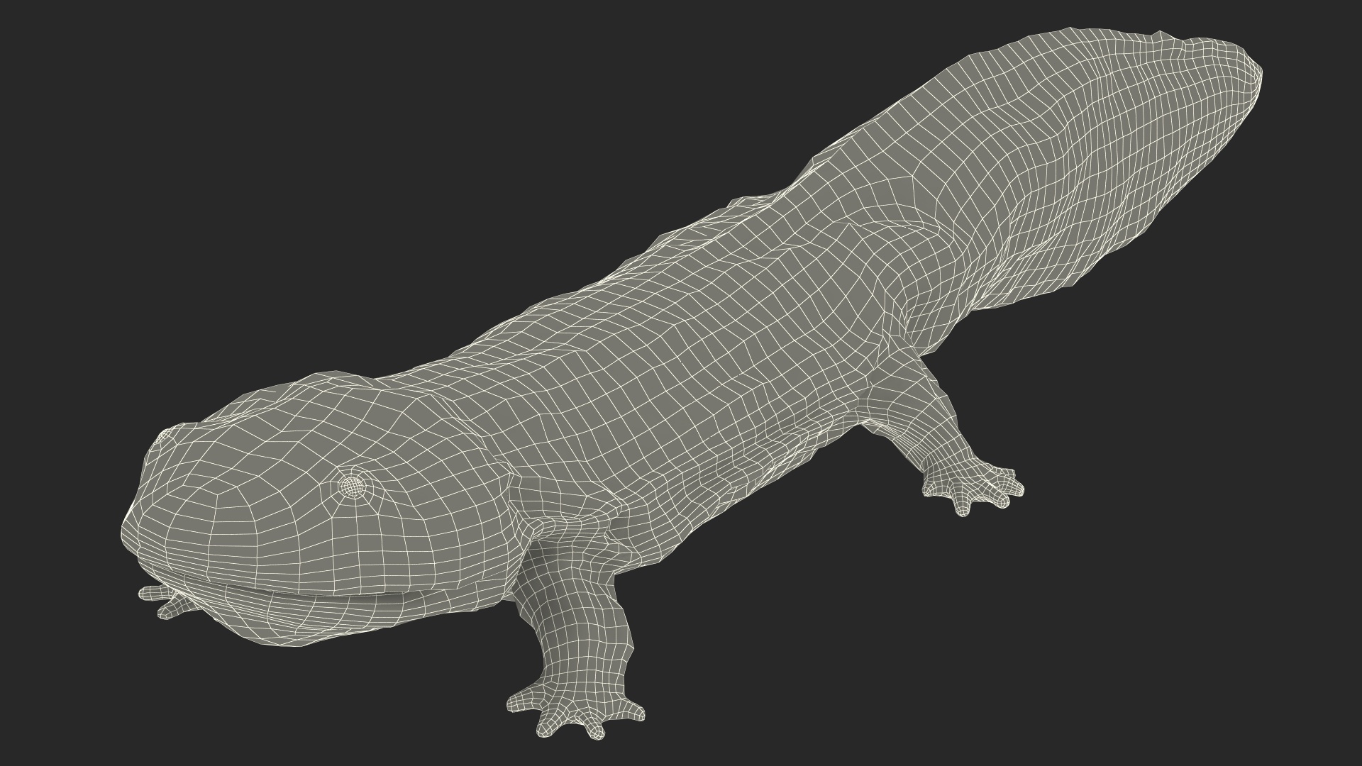 3D model Salamander Dark