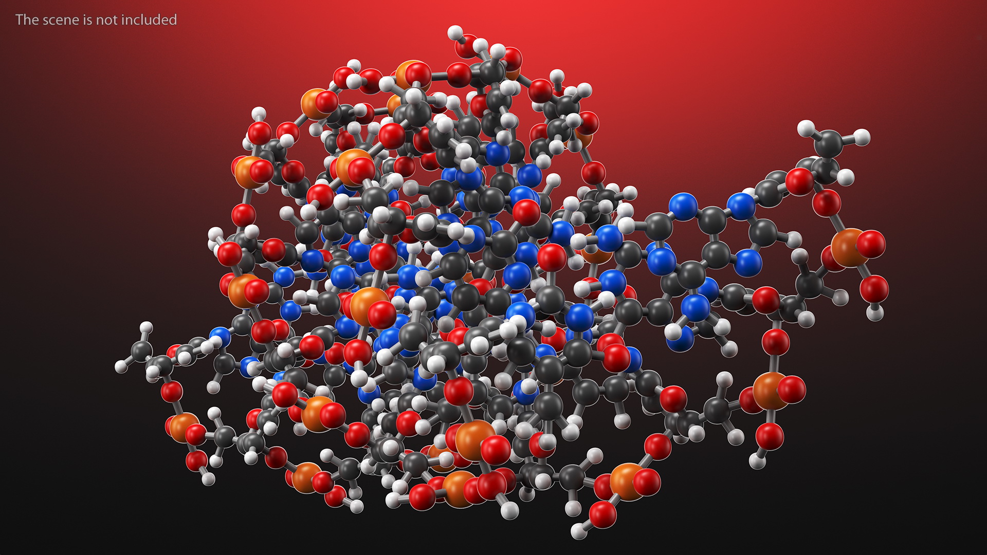 3D model B Form DNA Structure