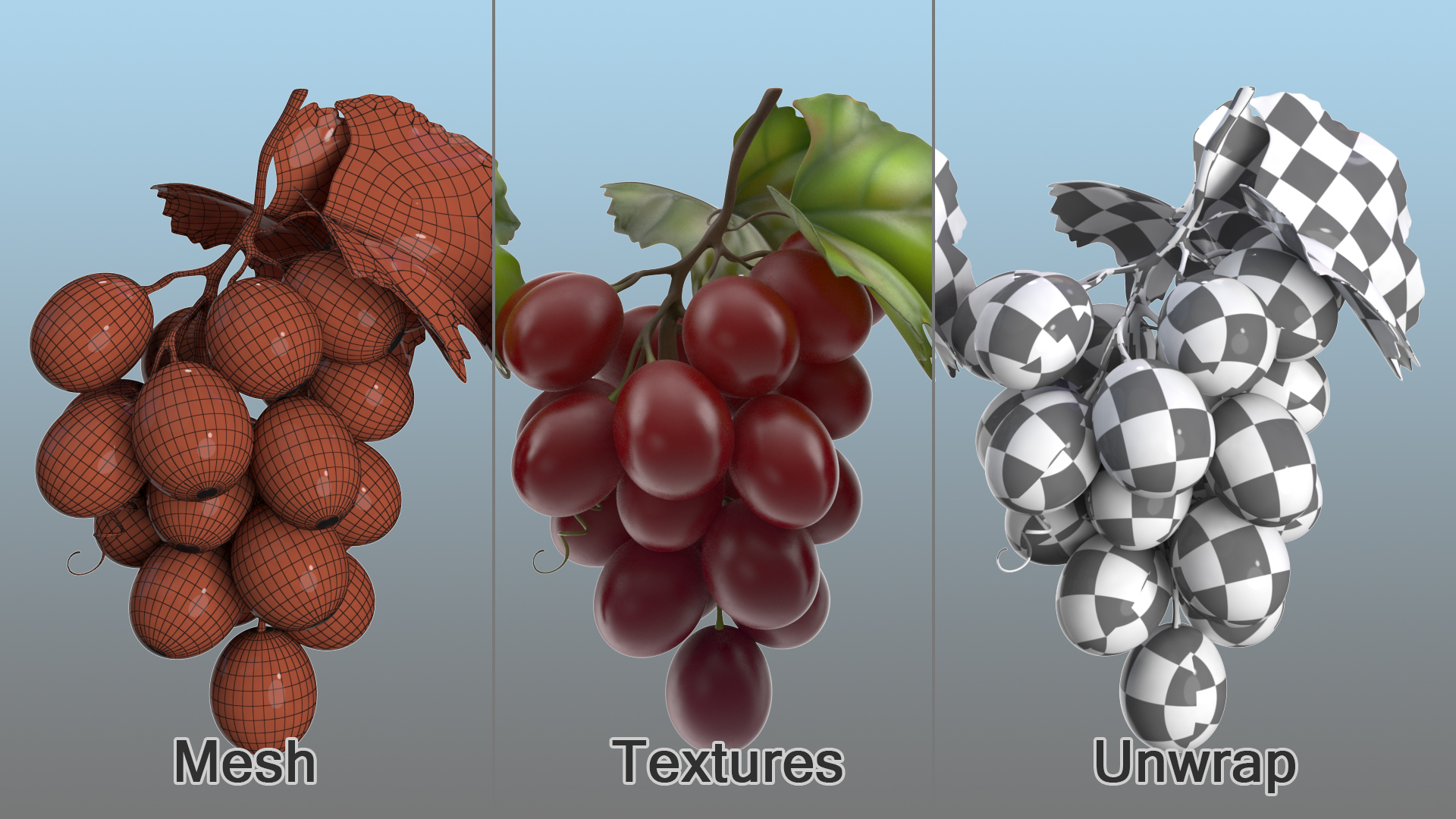 3D model Bunch of Fresh Red Grapes