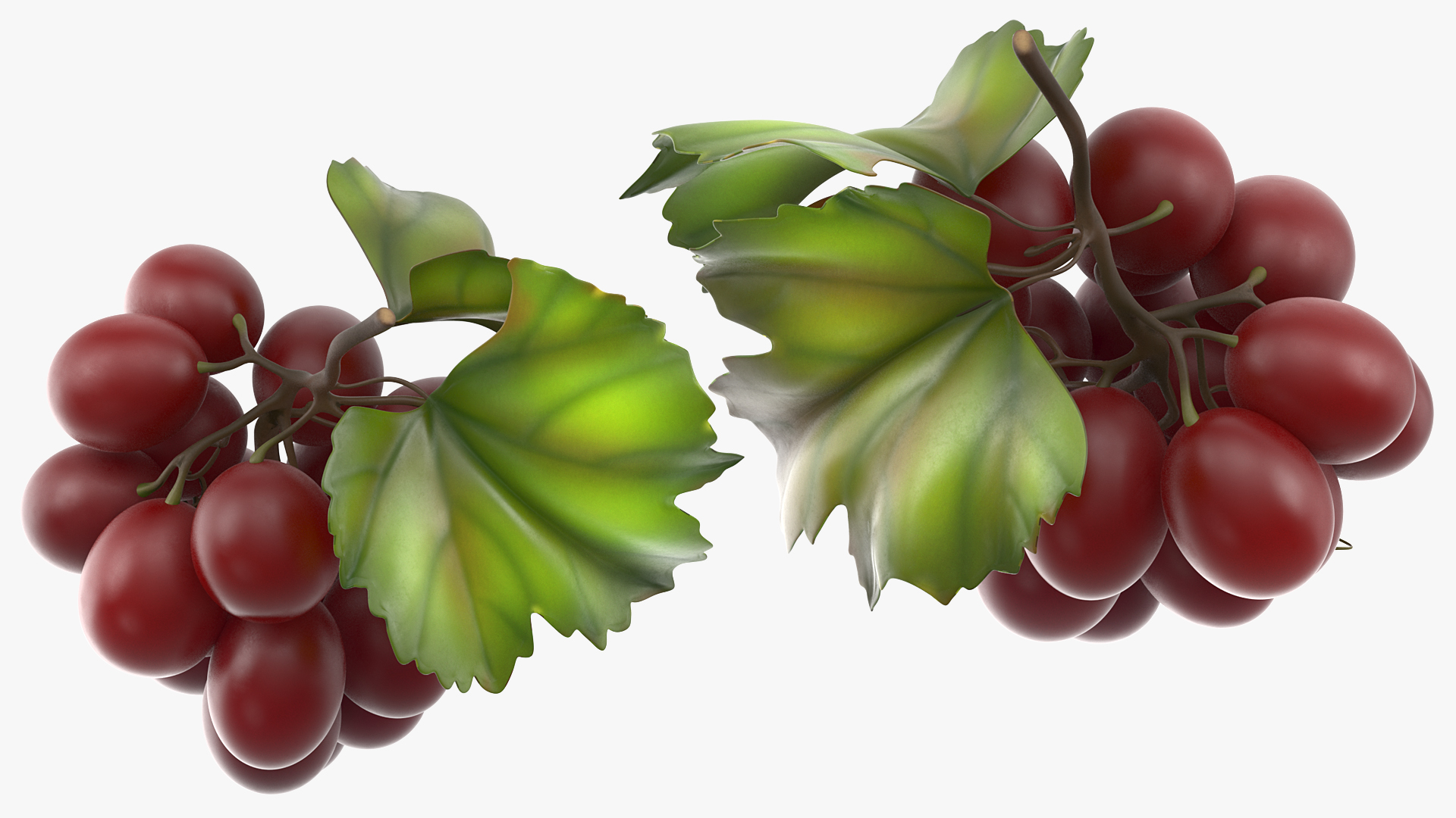 3D model Bunch of Fresh Red Grapes