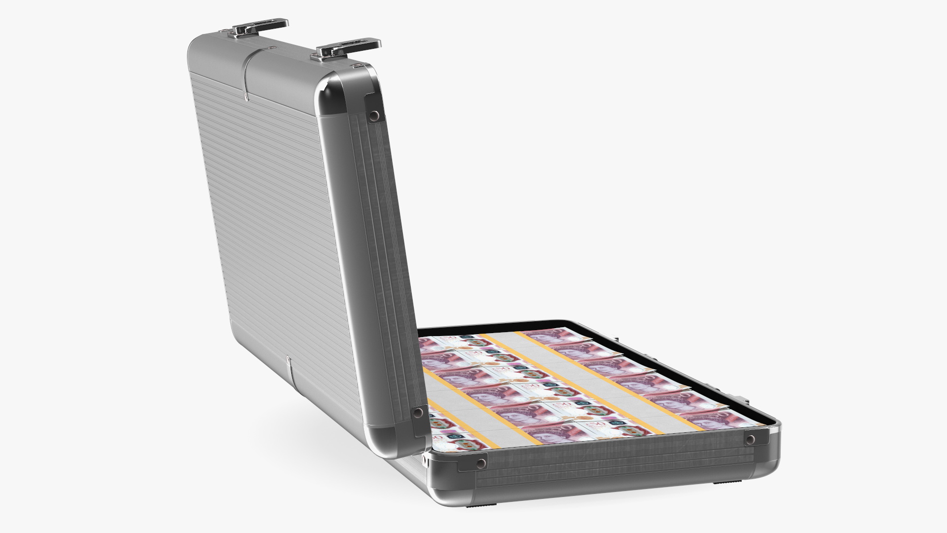 3D Suitcase Full of Pounds model