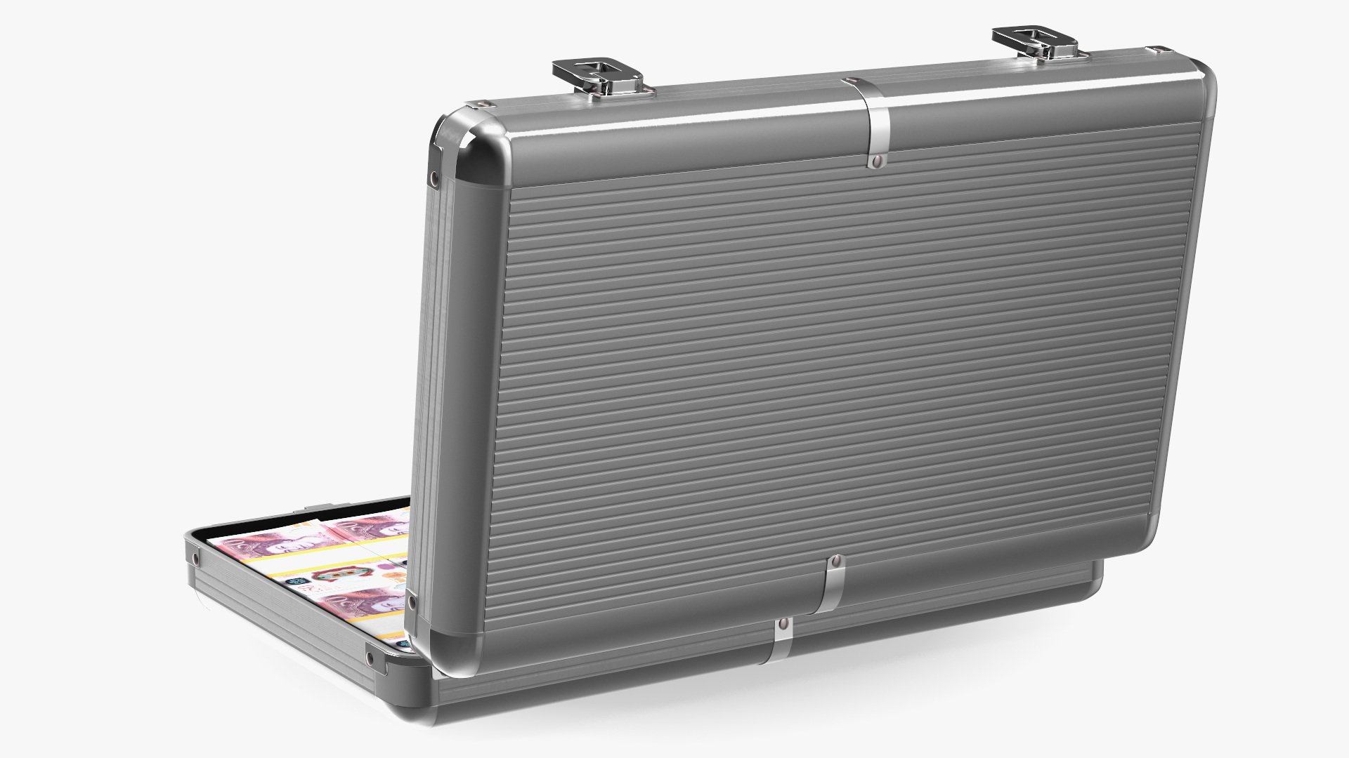 3D Suitcase Full of Pounds model