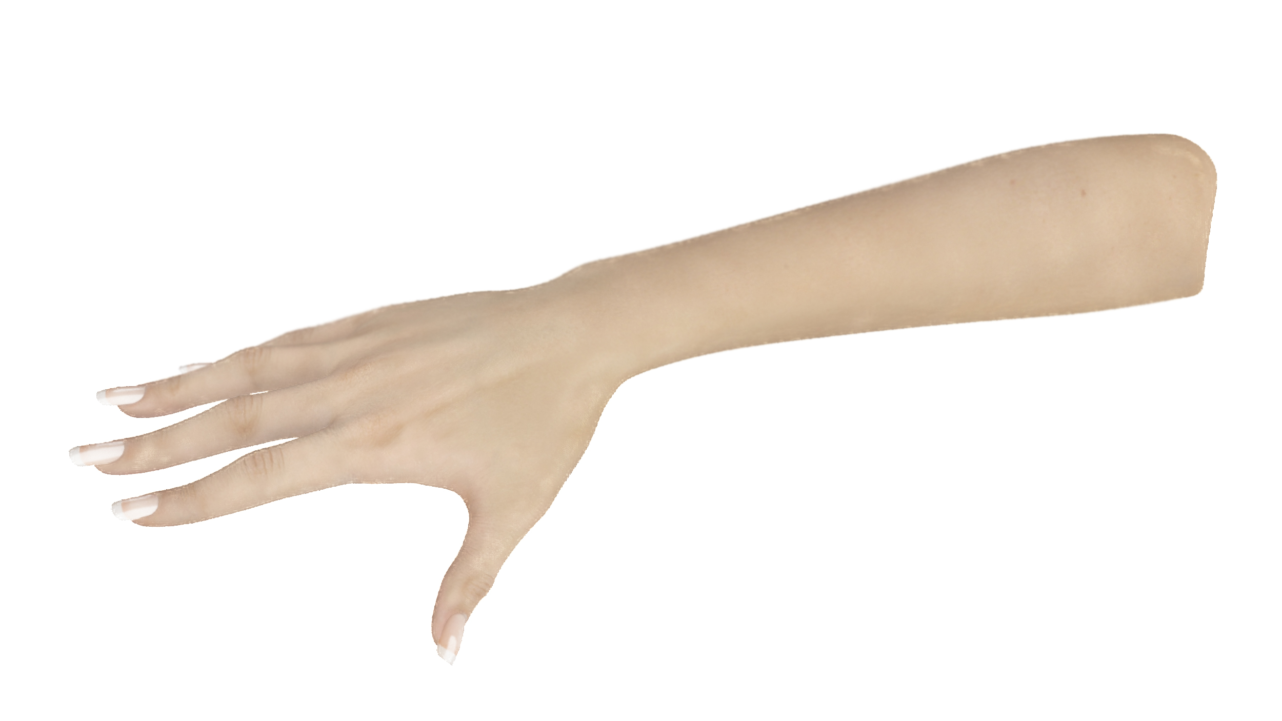 White Female Hand Rigged 3D model