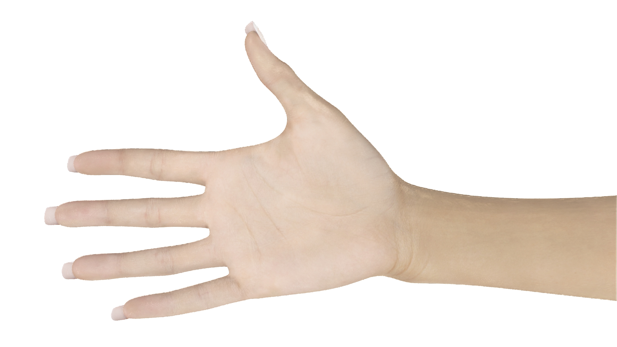 White Female Hand Rigged 3D model