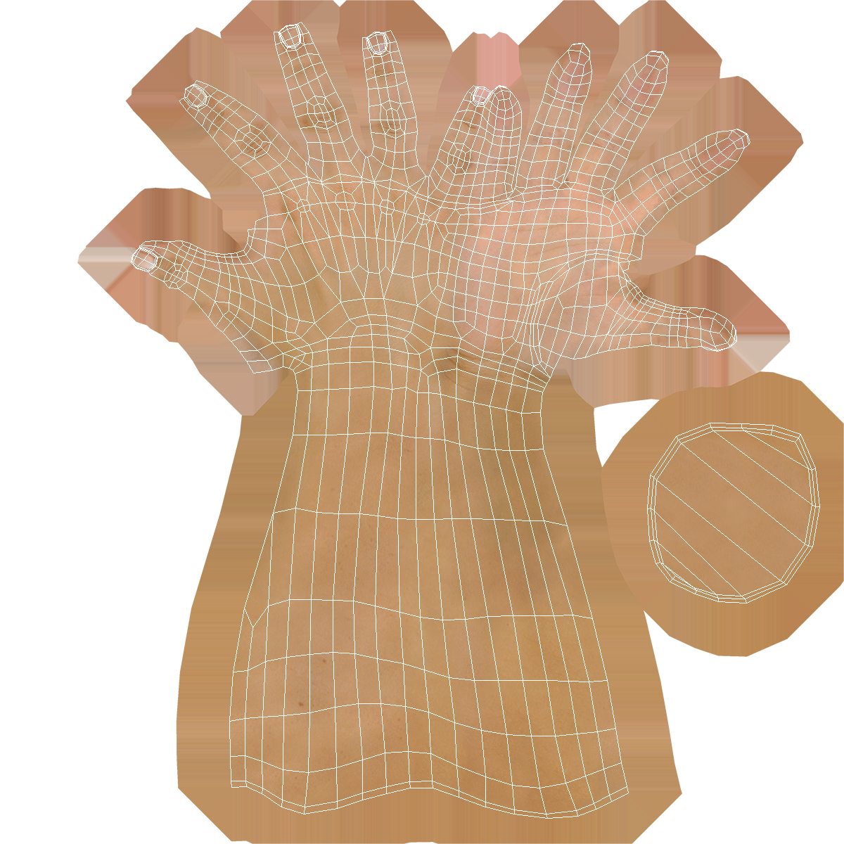 White Female Hand Rigged 3D model