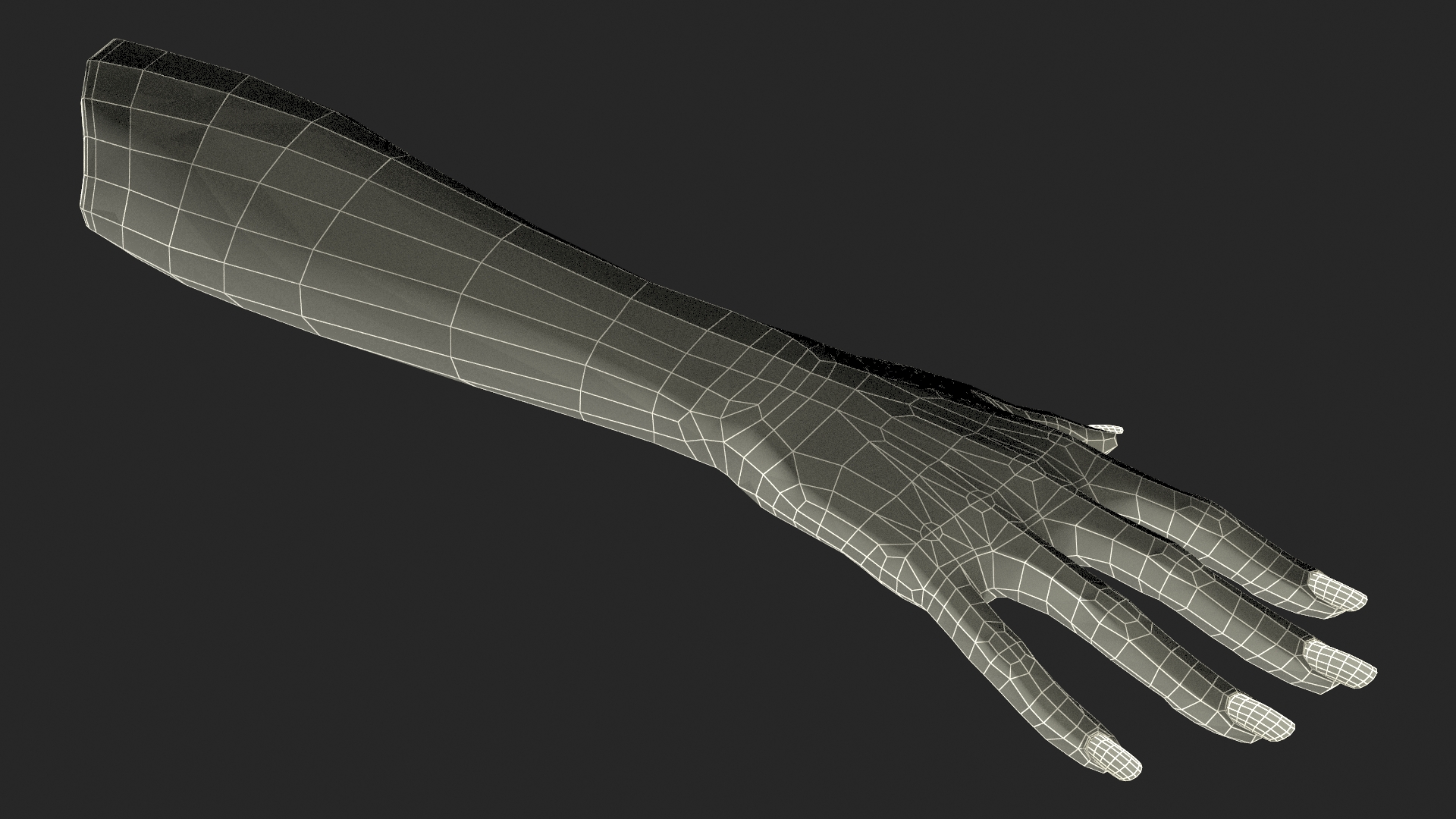 White Female Hand Rigged 3D model