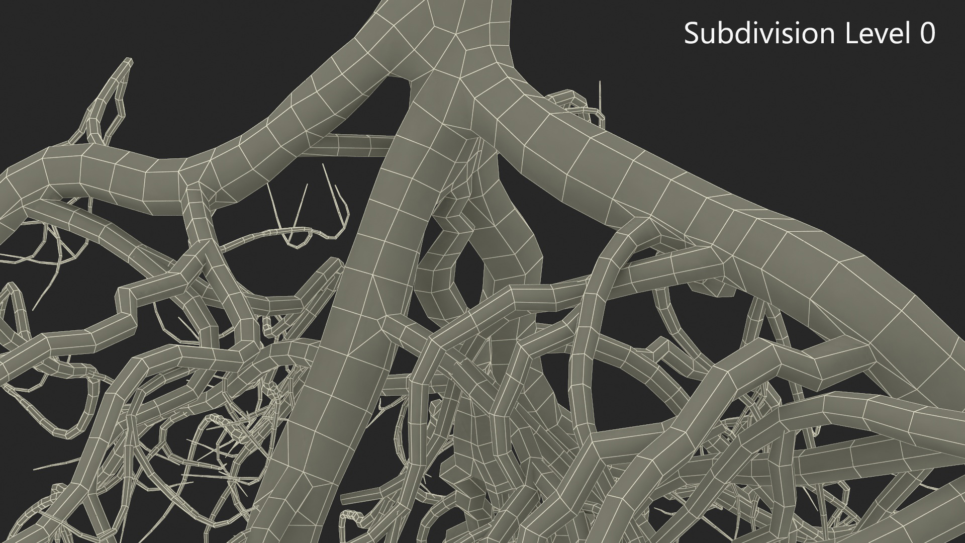 3D model Tree Roots