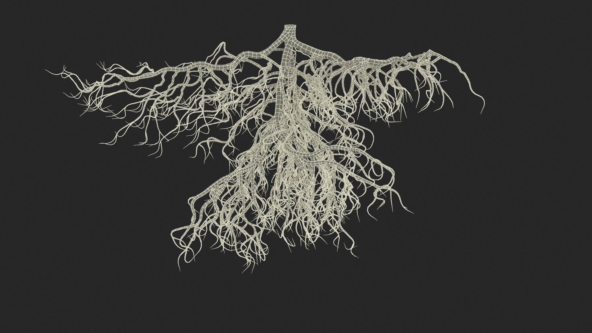 3D model Tree Roots