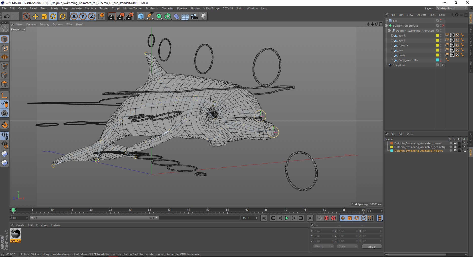 Dolphin Swimming Animated for Cinema 4D 3D model