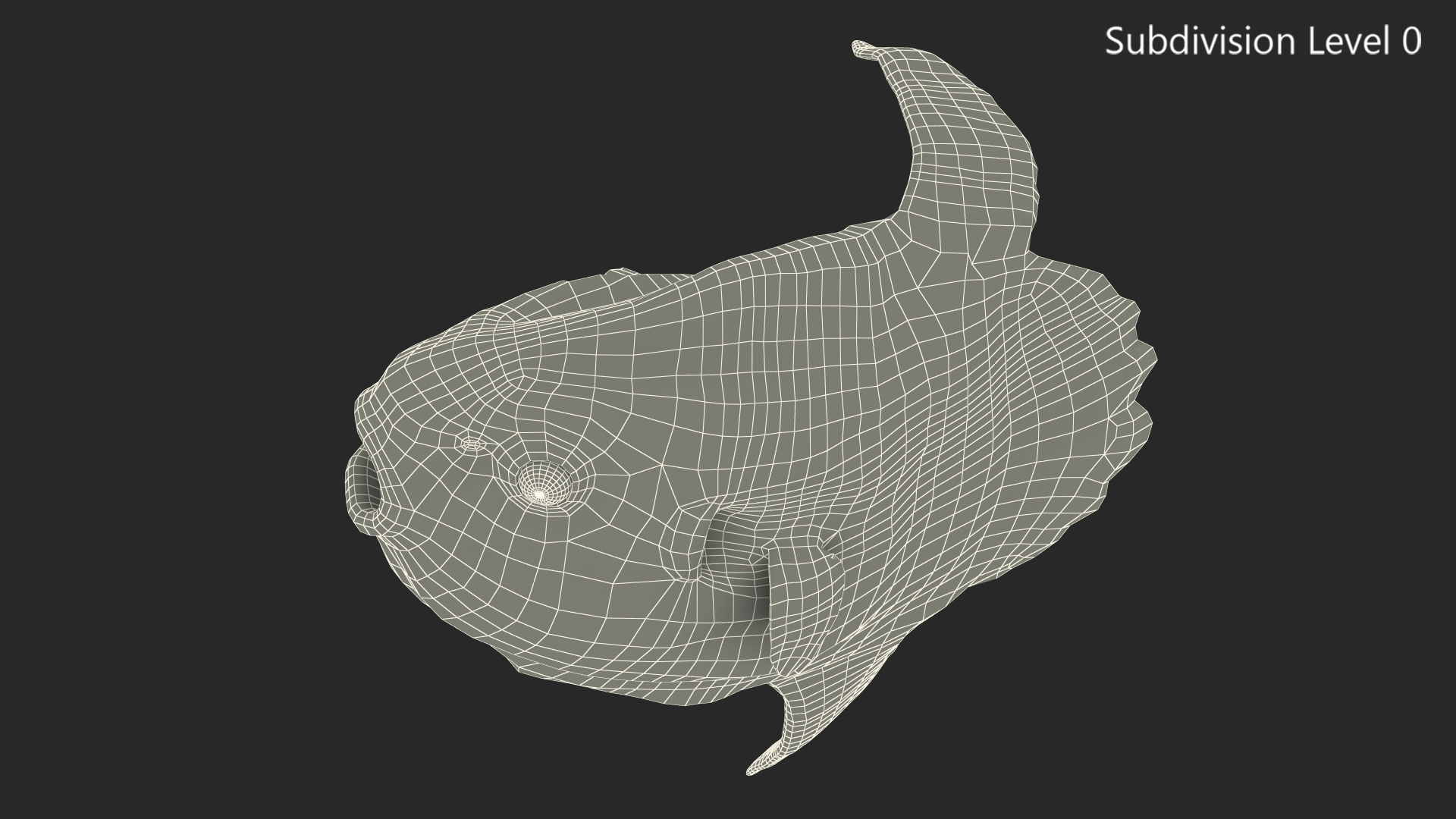 3D model Mola Mola Ocean Sunfish Rigged