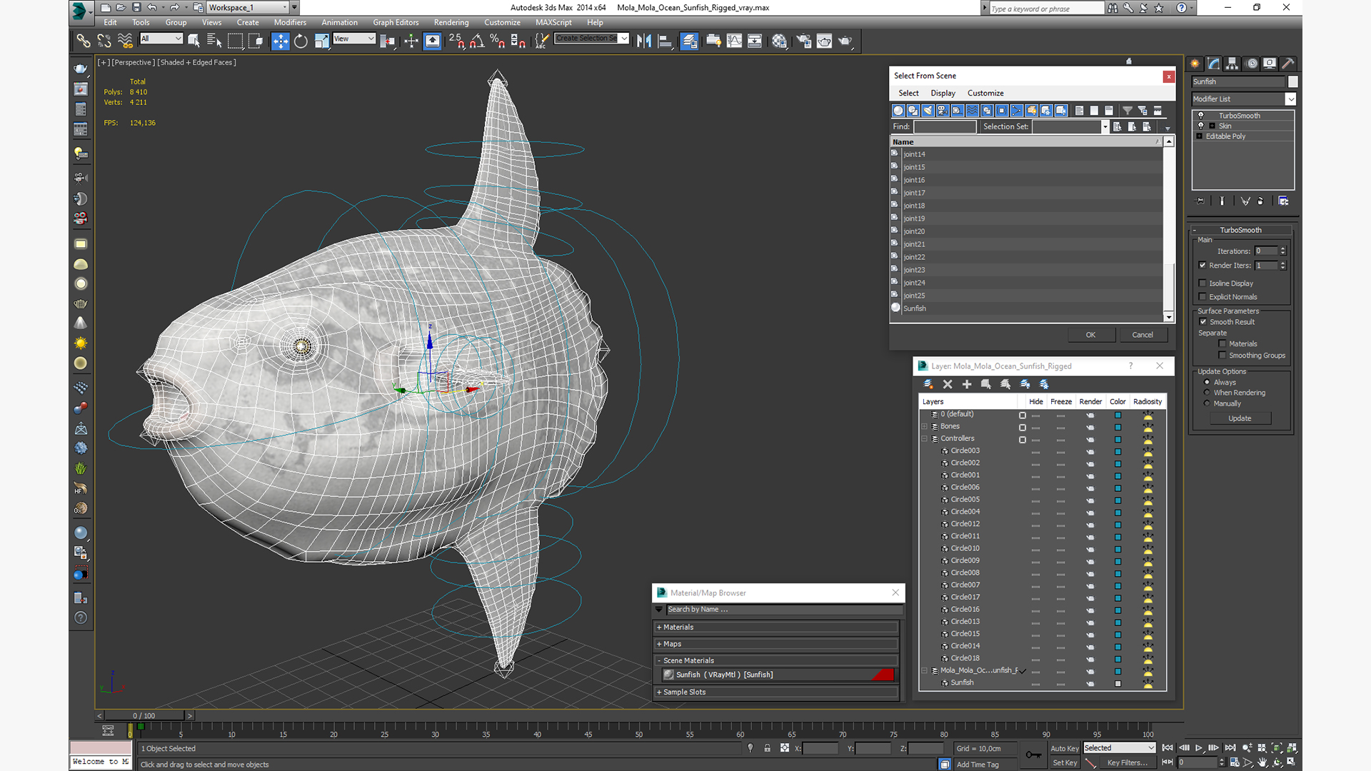 3D model Mola Mola Ocean Sunfish Rigged