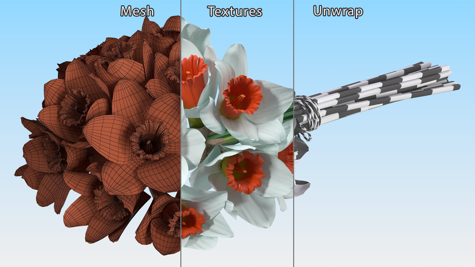 3D Bouquet of Narcissus Flowers model