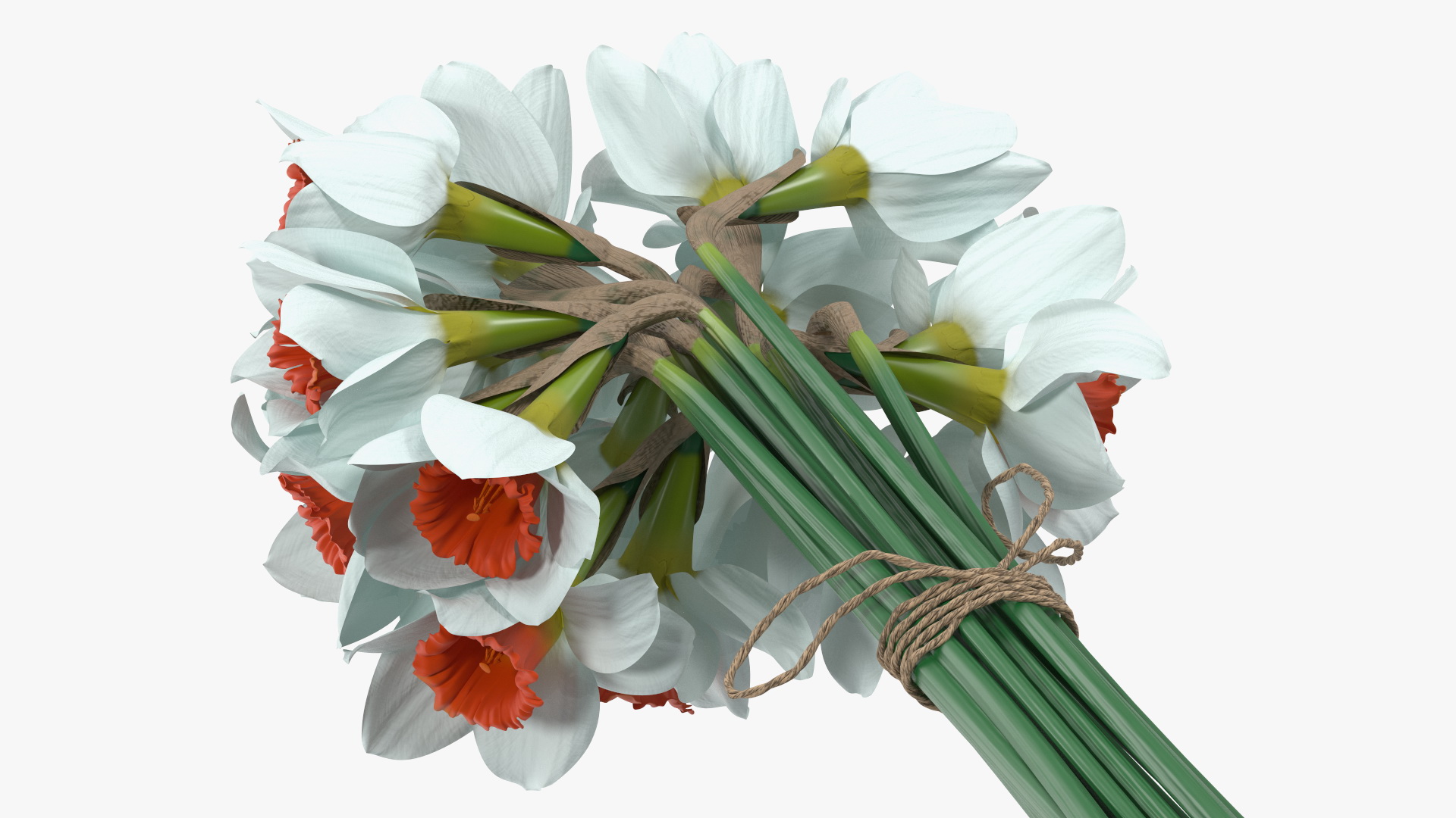 3D Bouquet of Narcissus Flowers model