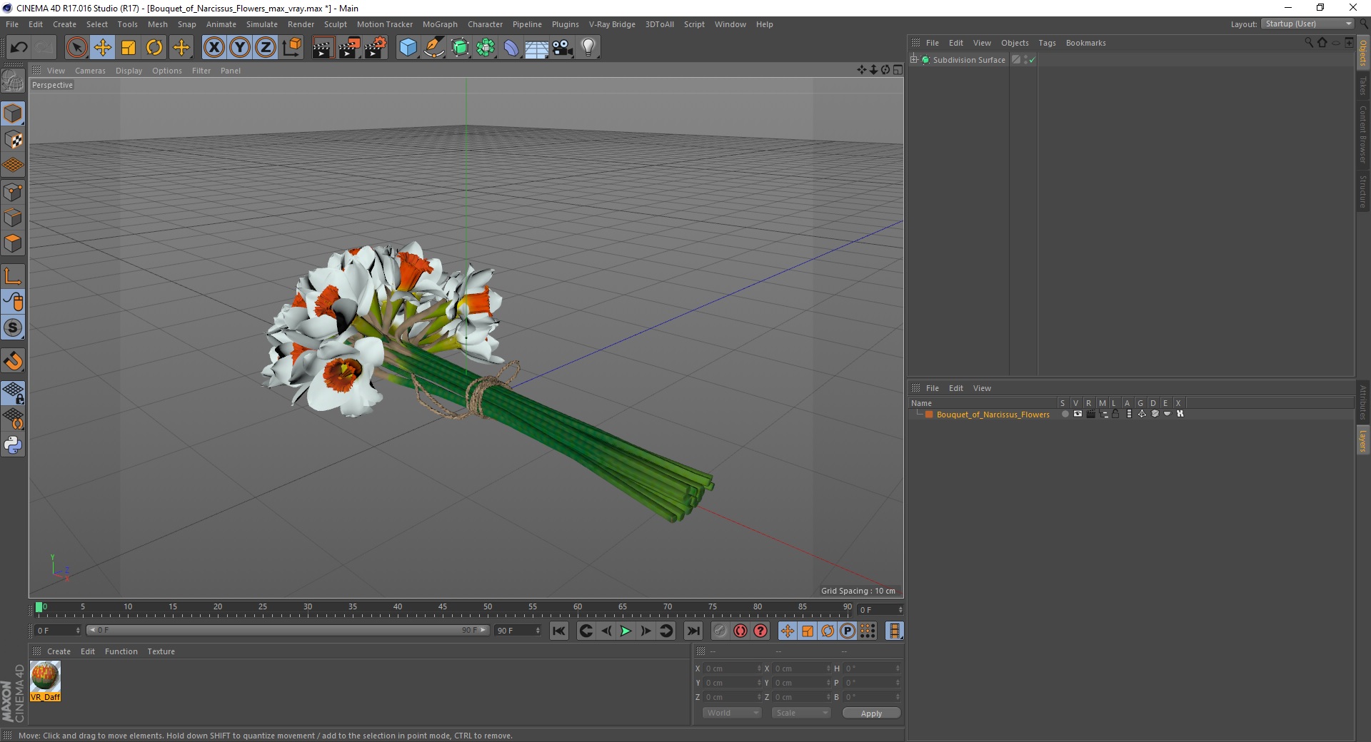 3D Bouquet of Narcissus Flowers model