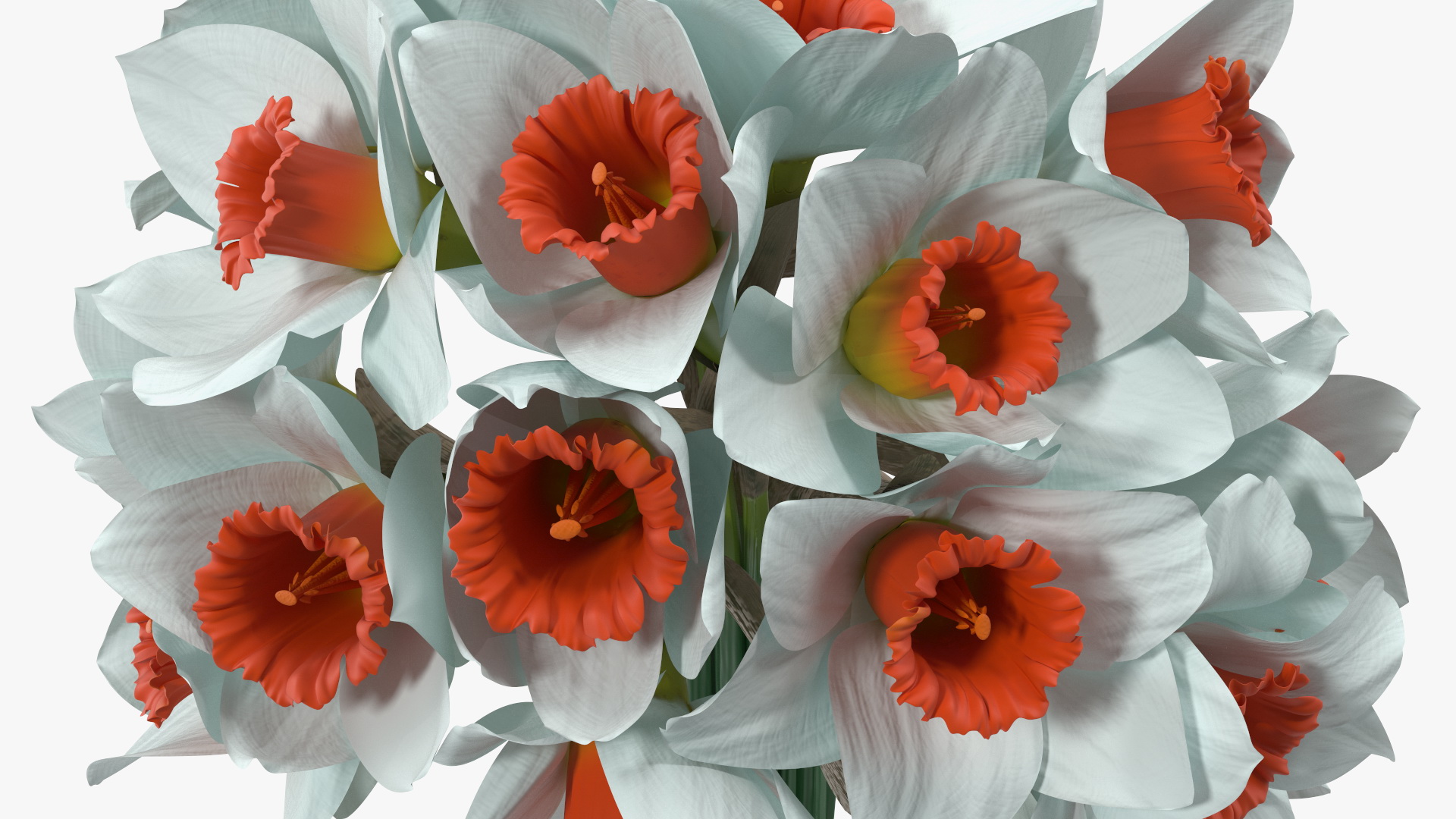 3D Bouquet of Narcissus Flowers model