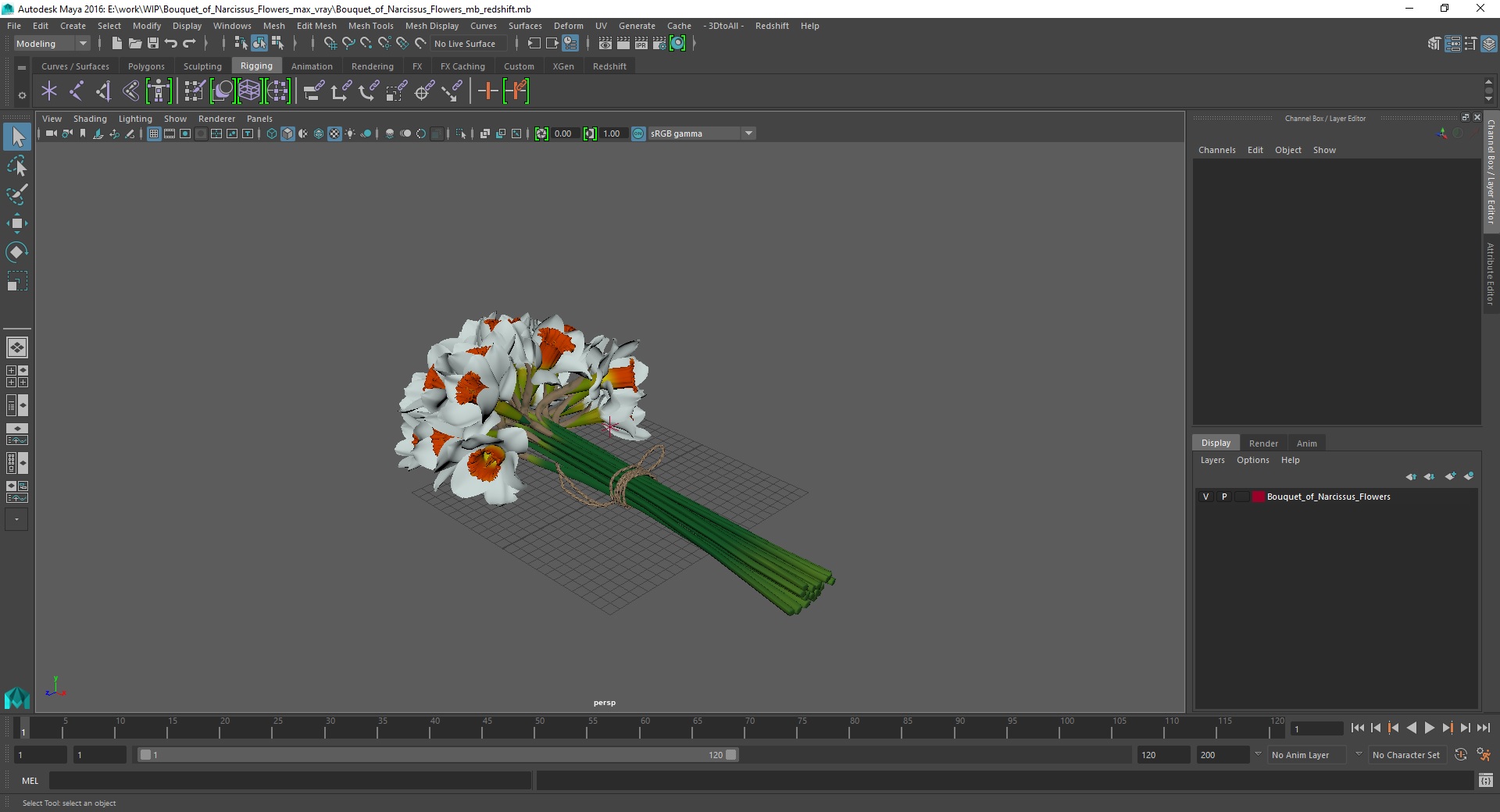 3D Bouquet of Narcissus Flowers model