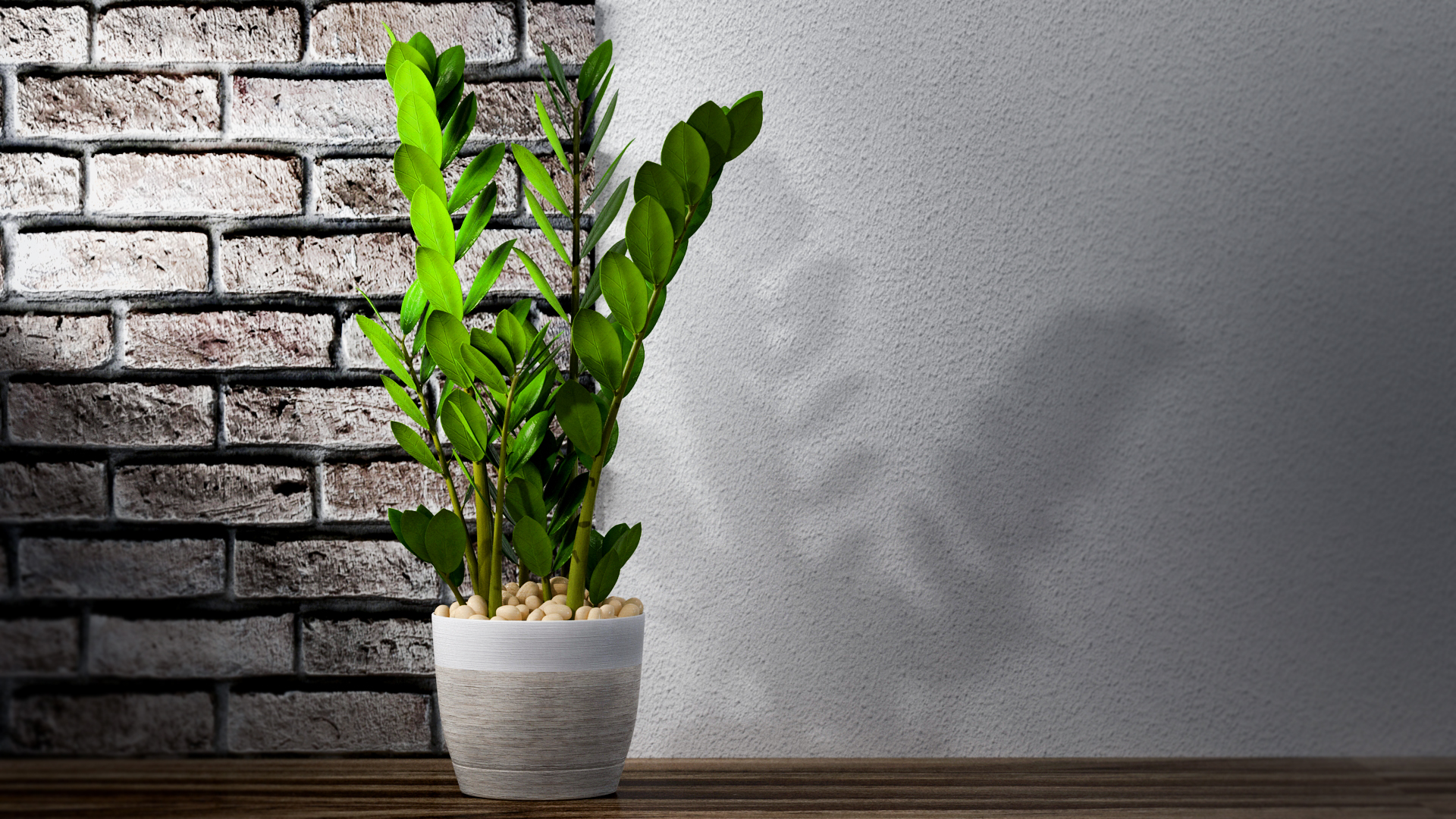 3D model Empty Plant Pot