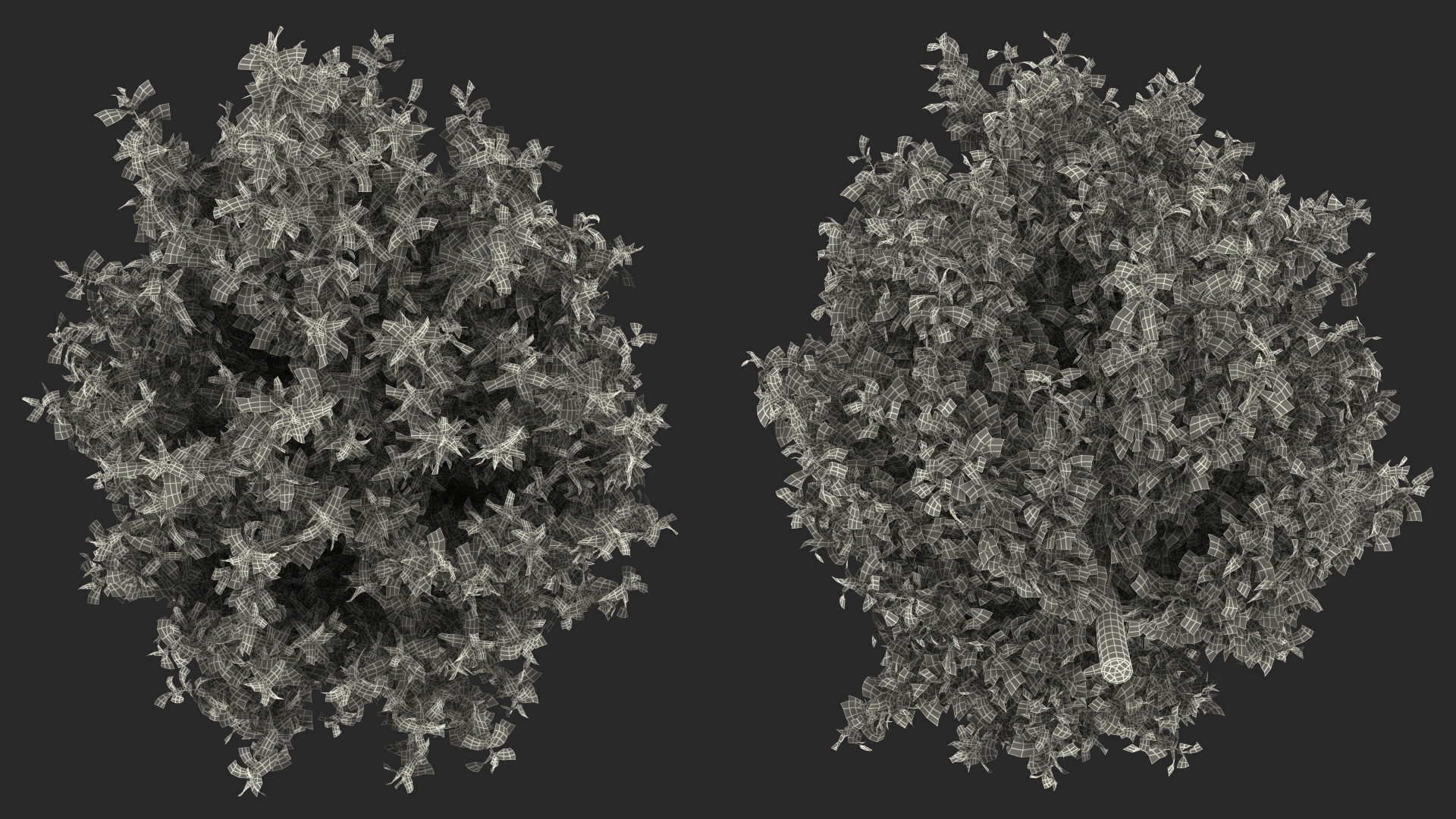 3D model Holly Tree