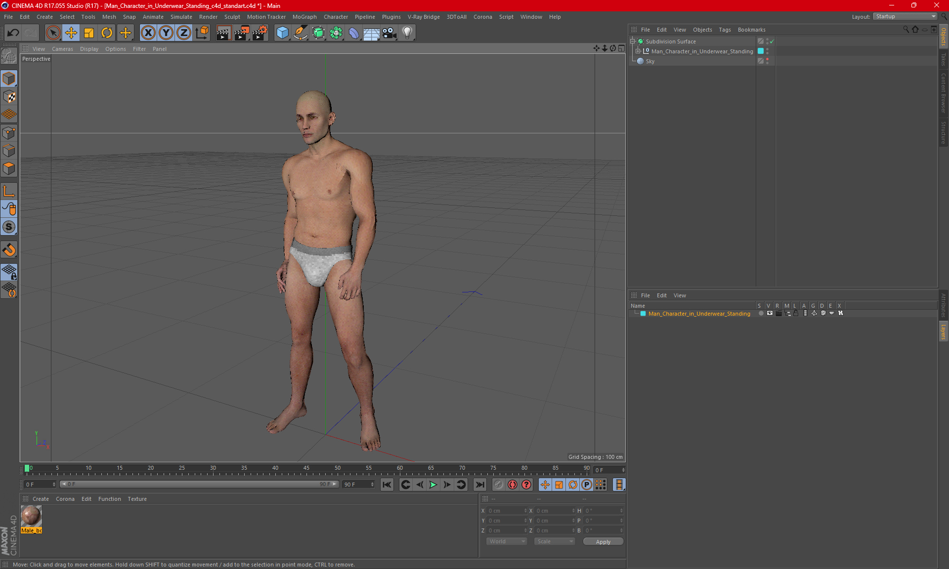 3D model Man Character in Underwear Standing