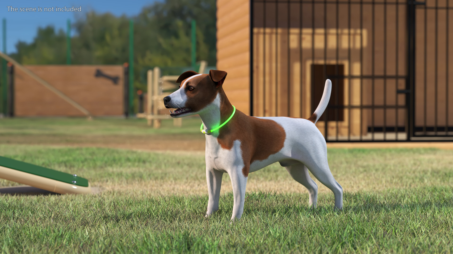 3D Jack Russell Terrier with LED Collar