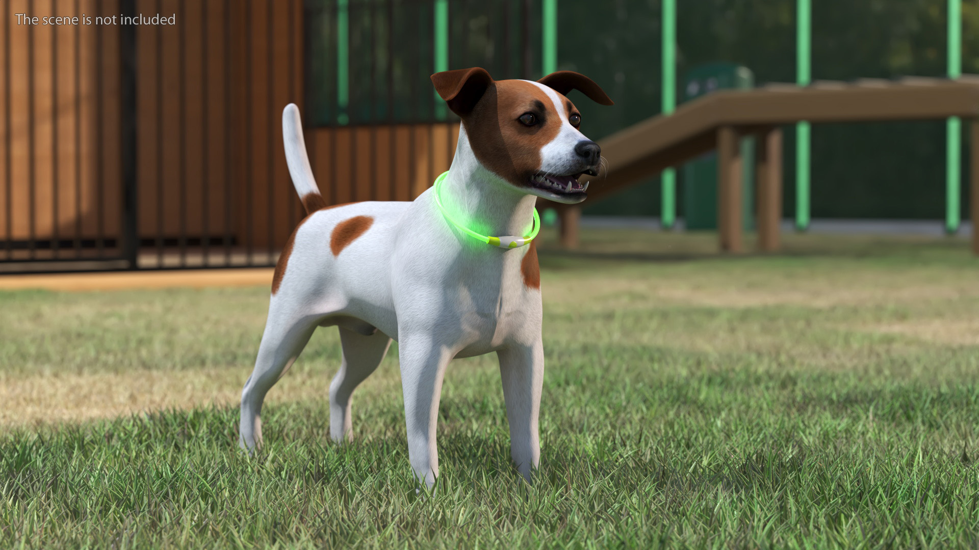 3D Jack Russell Terrier with LED Collar