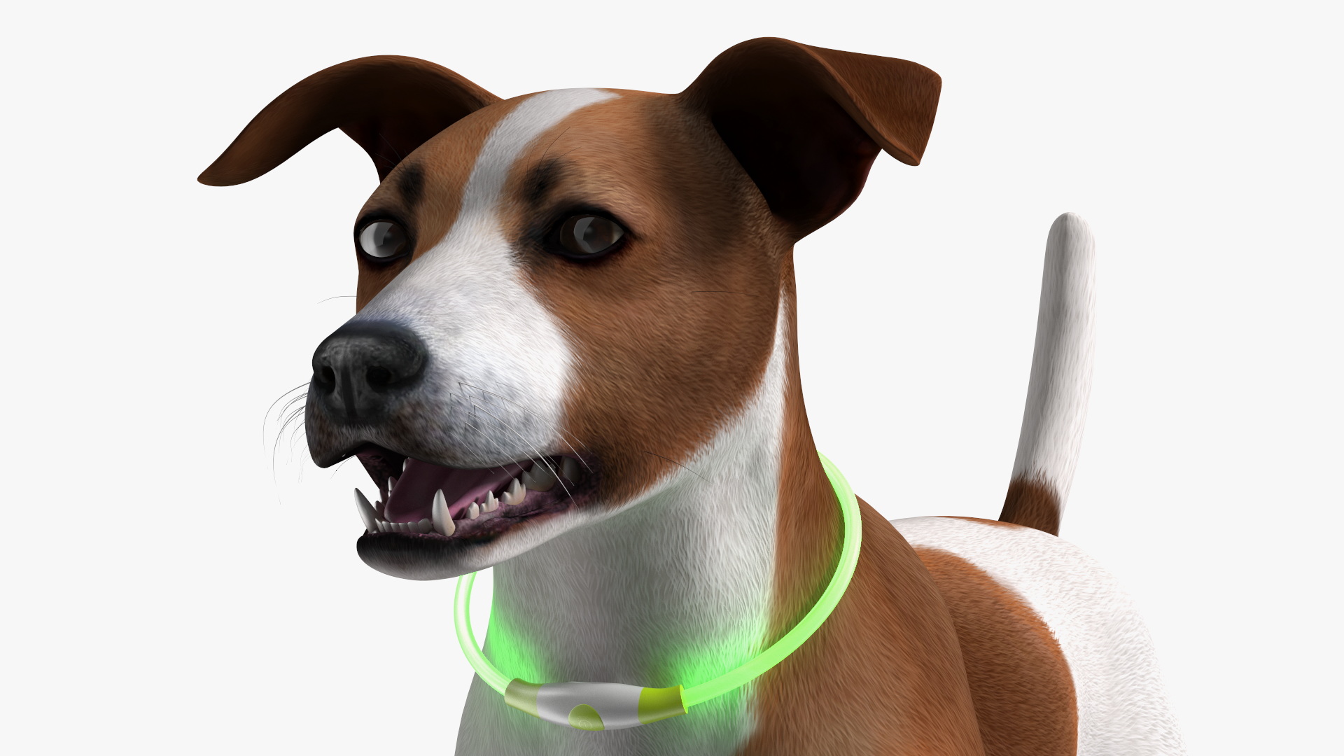 3D Jack Russell Terrier with LED Collar