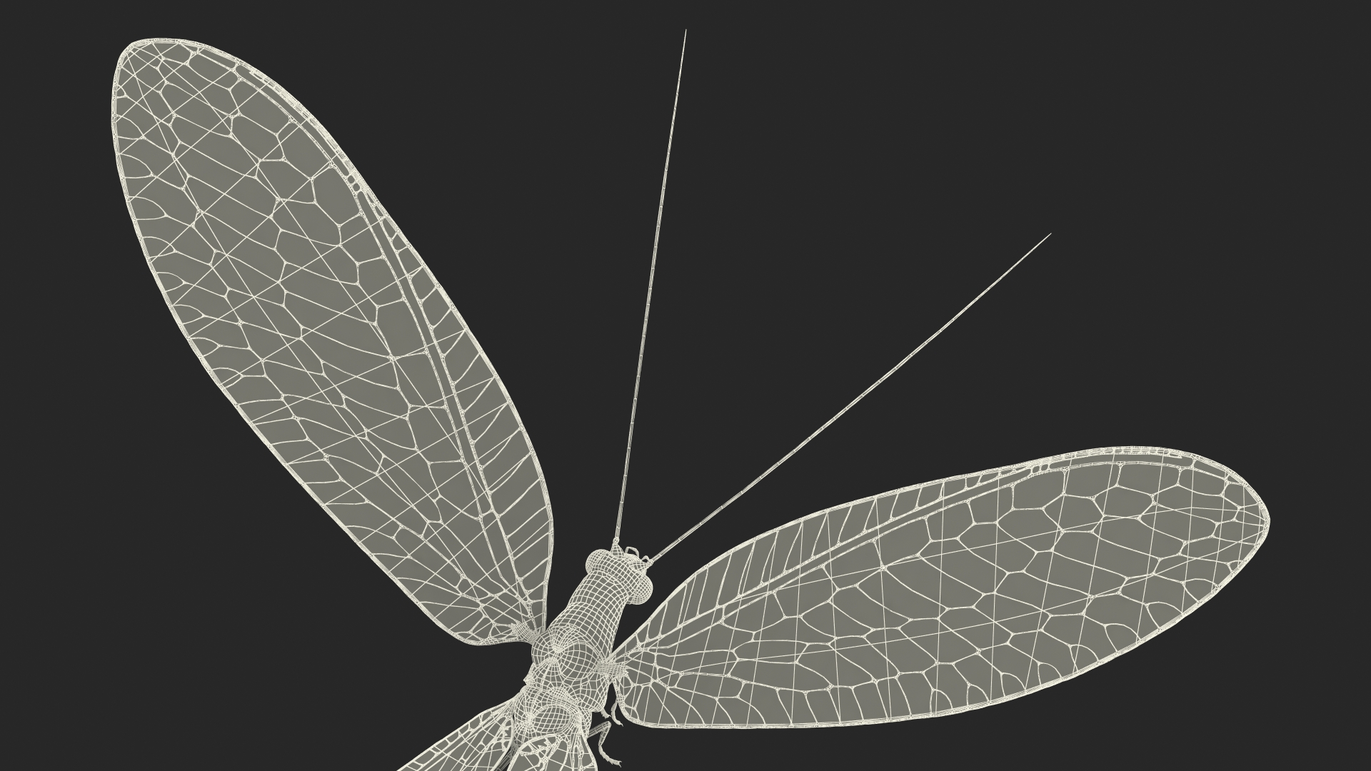 3D Green Lacewing in Flight Fur model