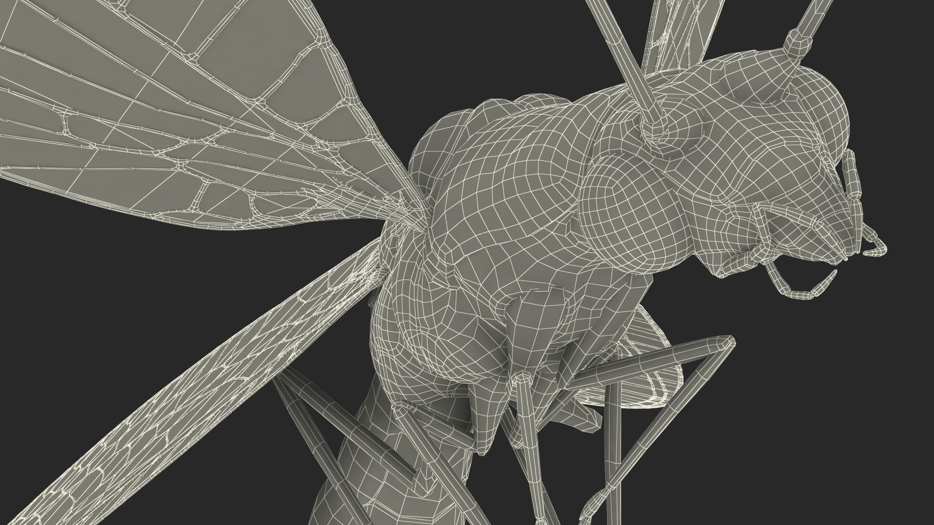 3D Green Lacewing in Flight Fur model