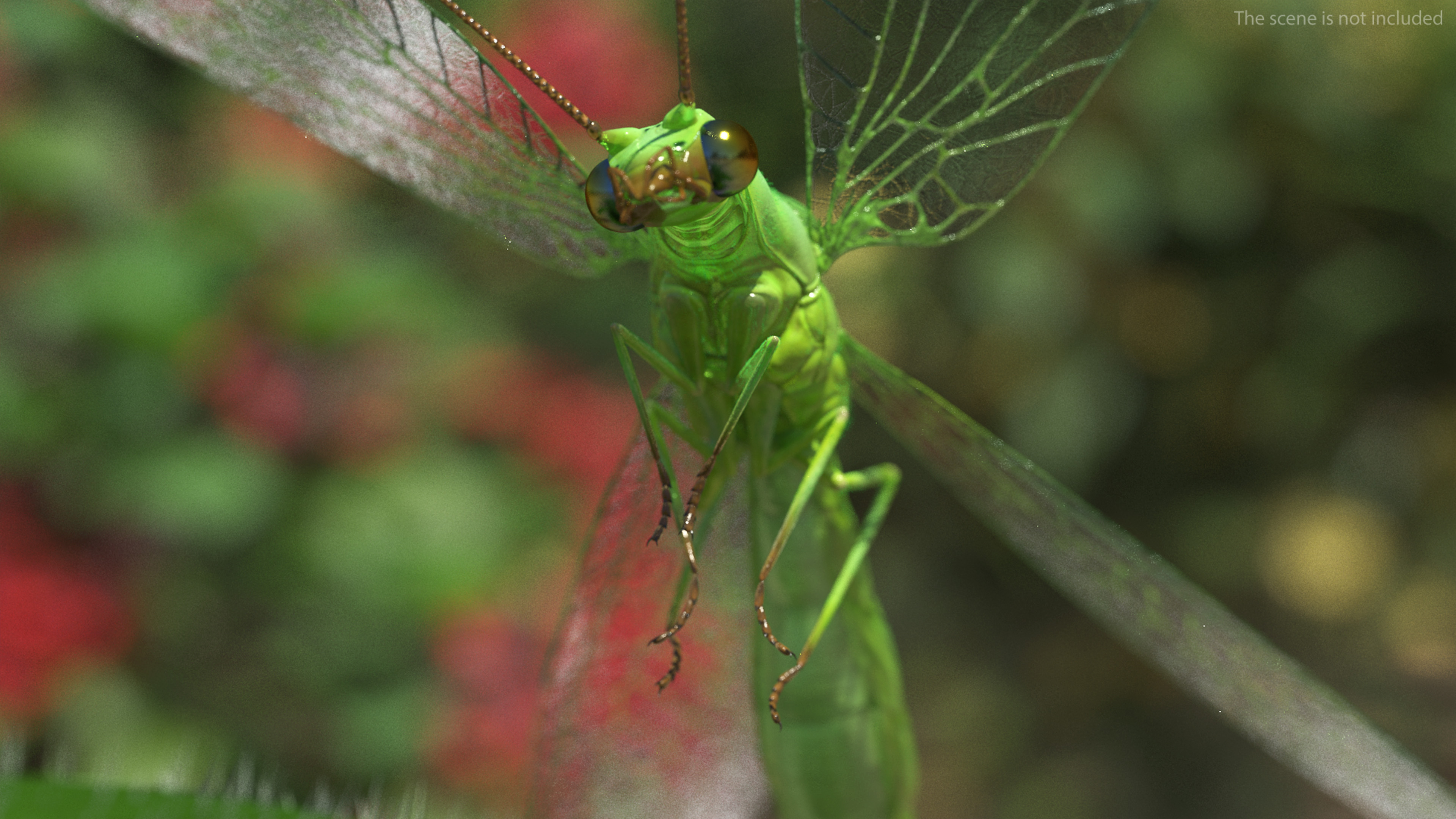 3D Green Lacewing in Flight Fur model